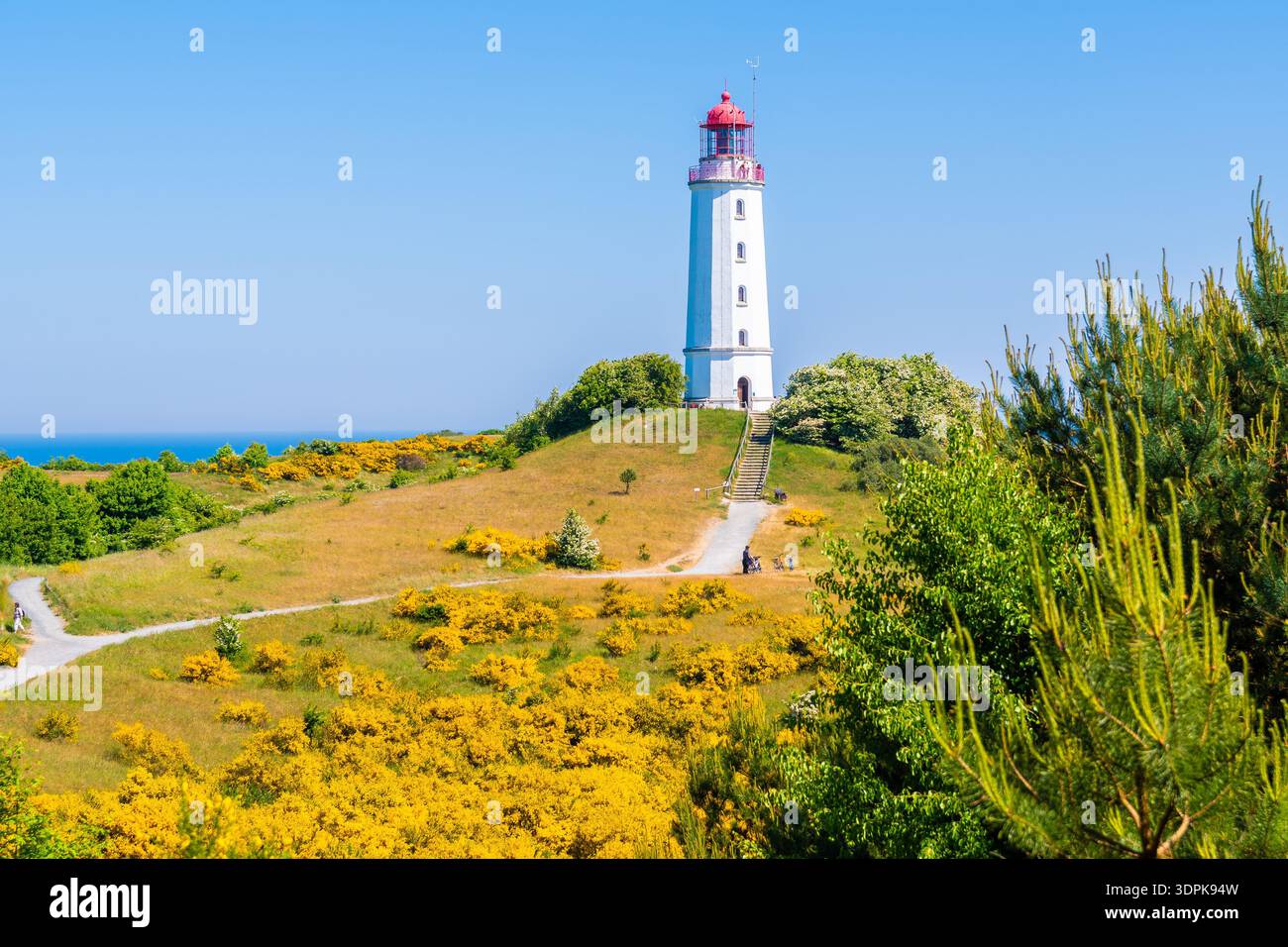 Leuchtturm Dornbusch in Frühlingslandschaft mit Blumen an der Nordküste der Insel Hiddensee, Ostsee, Deutschland Stockfoto