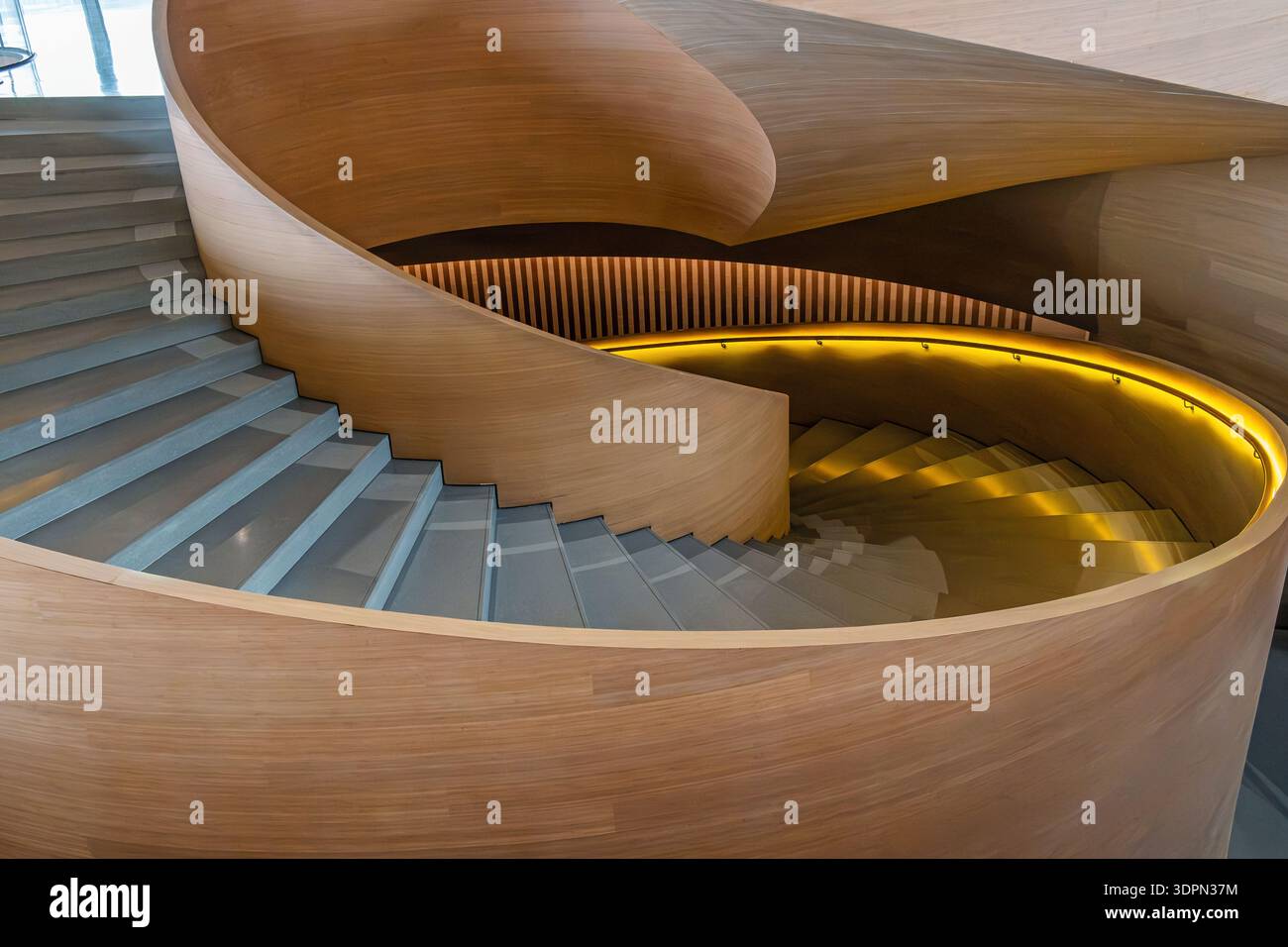 Futuristisch geschwungene Wendeltreppe aus Holz mit grauen Betonstufen und minimalistischem, modernem Design. Abstrakter Architekturhintergrund. Organisch und Stockfoto