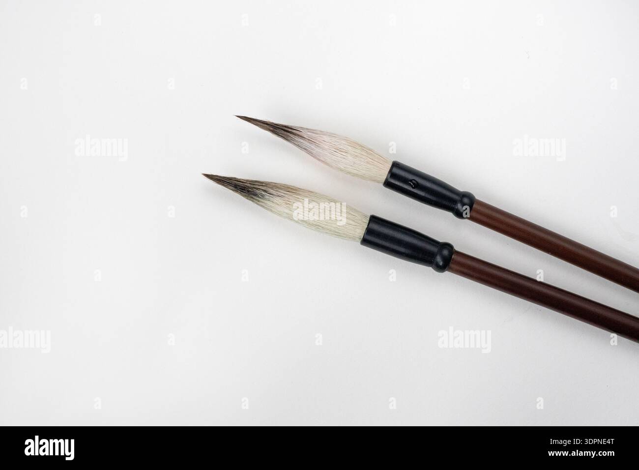 Zwei Schreibpinsel, Stifte zum Schreiben chinesischer traditioneller Kalligraphie. Traditionelle Schreibpinsel isoliert auf weißem Hintergrund, japanische Schrift brus Stockfoto