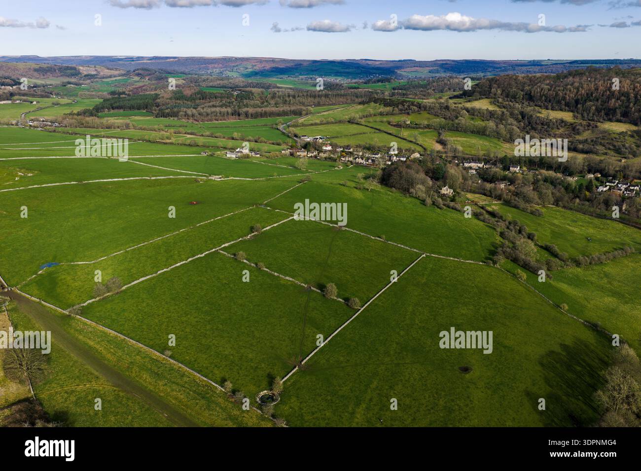 Blick aus der Vogelperspektive auf lebendige grüne Felder mit Steinmauern, eingebettet in die dunklen Waldränder des Peak District National Park, United Kingdo Stockfoto