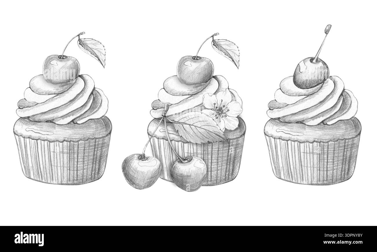 Satz Bleistiftzeichnungen von Cupcakes mit Creme, Kirschen, dekoriert mit Blumen und Blättern. Illustrationen handgezeichnet, isoliert auf weißem Hintergrund. Für Verpackung, Menügestaltung, Karten, Cafés, Bäckereien Stockfoto