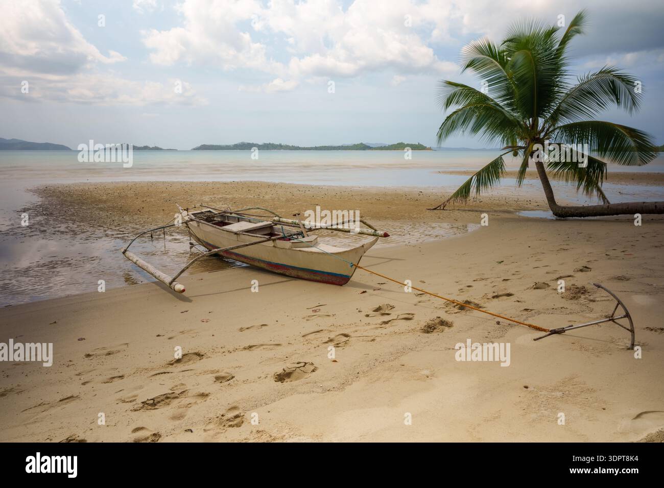 Ein kleines Auslegerboot ruht auf nassem Sand in der Nähe der Küste neben einer schiefen Palme und flachem Küstenwasser. Stockfoto