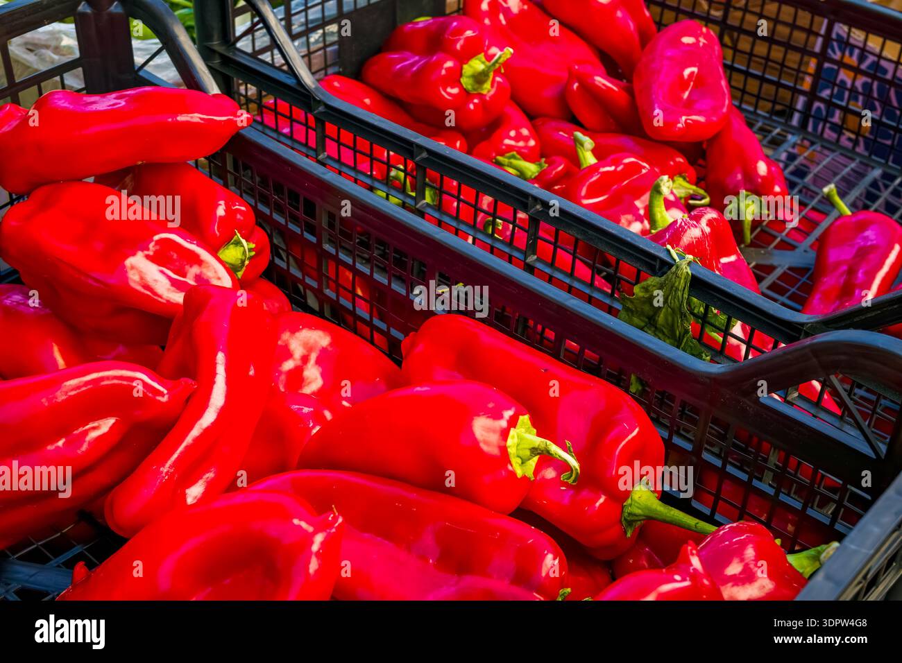 Rote Paprika in schwarzen Körben auf einem Markt. Frische Produkte werden zum Verkauf angeboten. Lebendige Farben und gesunde Speisen. Stockfoto