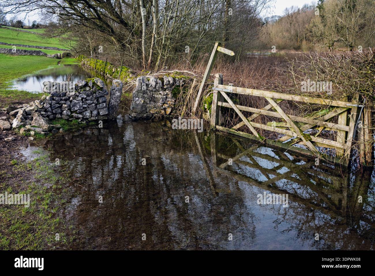 Ein überfluteter Fußweg am Fluss Lathkill, Youlgrave, Peak District National Park, Derbyshire, England, Stockfoto