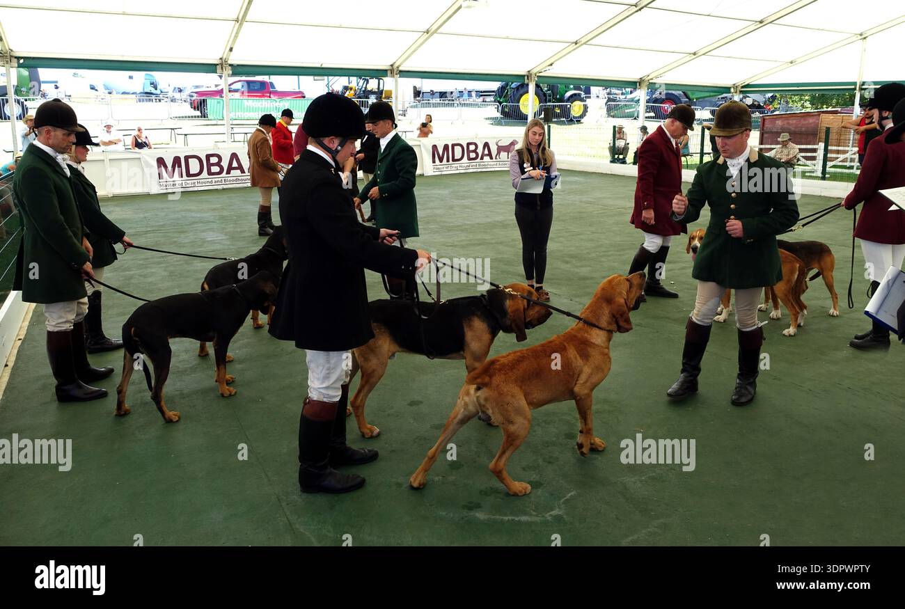 Männer, die zur Jagd gekleidet sind, werden bei der Great Yorkshire Agricultural Show in Harrogate, North Yorkshire, England, Großbritannien, bewertet Stockfoto