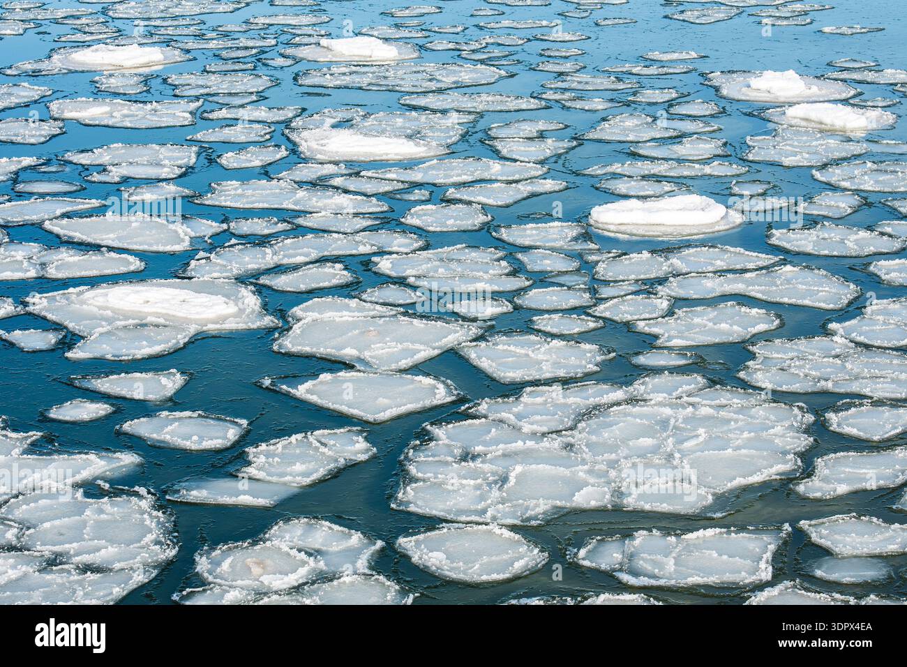 Schwimmendes Meereis und verstreute Eisschollen bilden abstrakte Muster auf kaltem, dunklem Wasser und schaffen einen strukturierten Winterhintergrund Stockfoto
