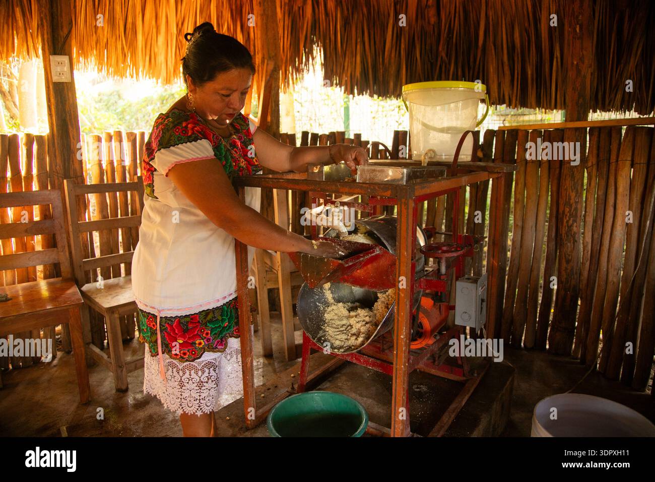 Yucatan, Mexiko; 1. November 2025: Frau in traditioneller Kleidung mahlt Mais mit einem mechanischen Mahlwerk in Mexiko. Stockfoto
