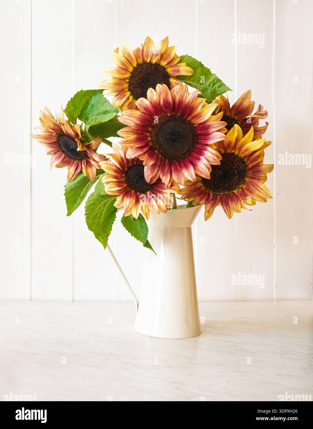 Ein Strauß rustikaler Sonnenblumen in einer Blechvase. Stockfoto