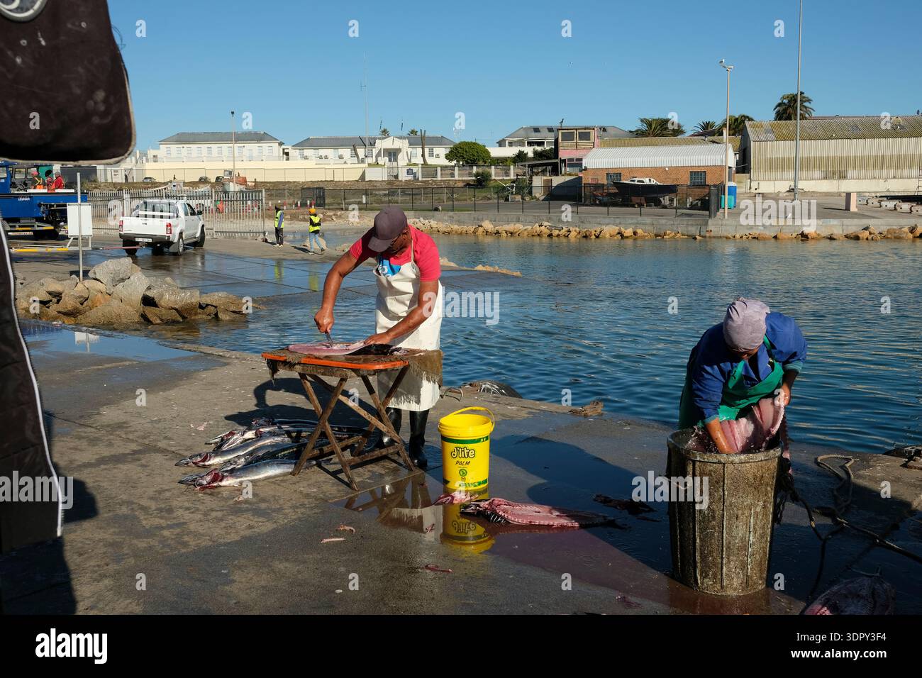 Menschen, die Fische auf einem provisorischen Tisch am Hafen in der Küstenstadt Lambertsbaai in der Westkap-Region Südafrikas auskalken und reinigen. Stockfoto
