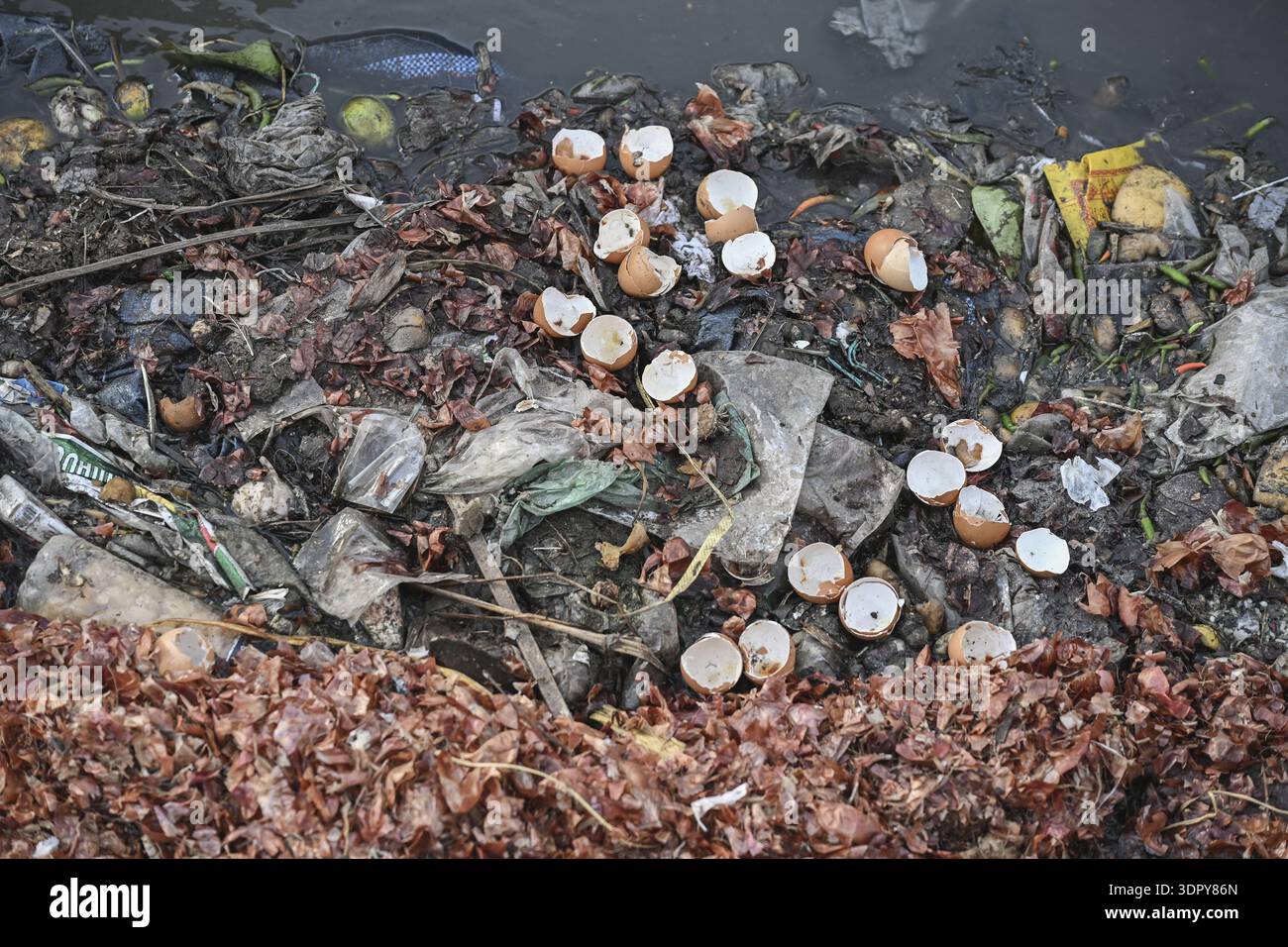 Dhaka, Bangladesch - 09. September 2025: Blick auf eine Wasserstraße, die mit ausrangierten Eierschalen, Plastikmüll und verfallender organischer Substanz erstickt ist, ein krasses Kontrapunkt Stockfoto