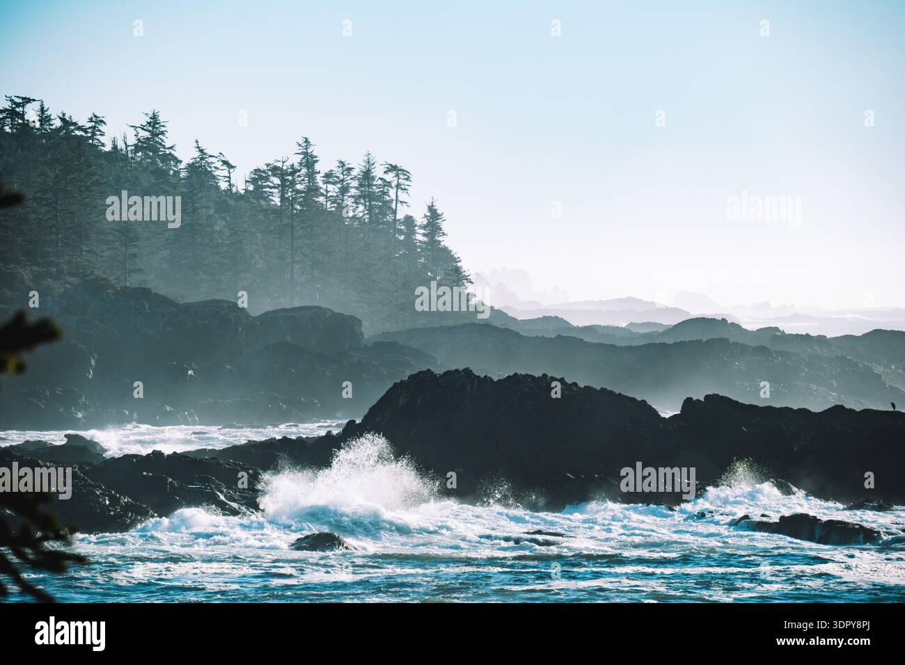 Zerklüftete Felsen, plätschernde Wellen vom Pazifischen Ozean und Stunke Nadelbäume. Das sind die Ausblicke vom Wild Pacific Trail von Ucluelet Stockfoto