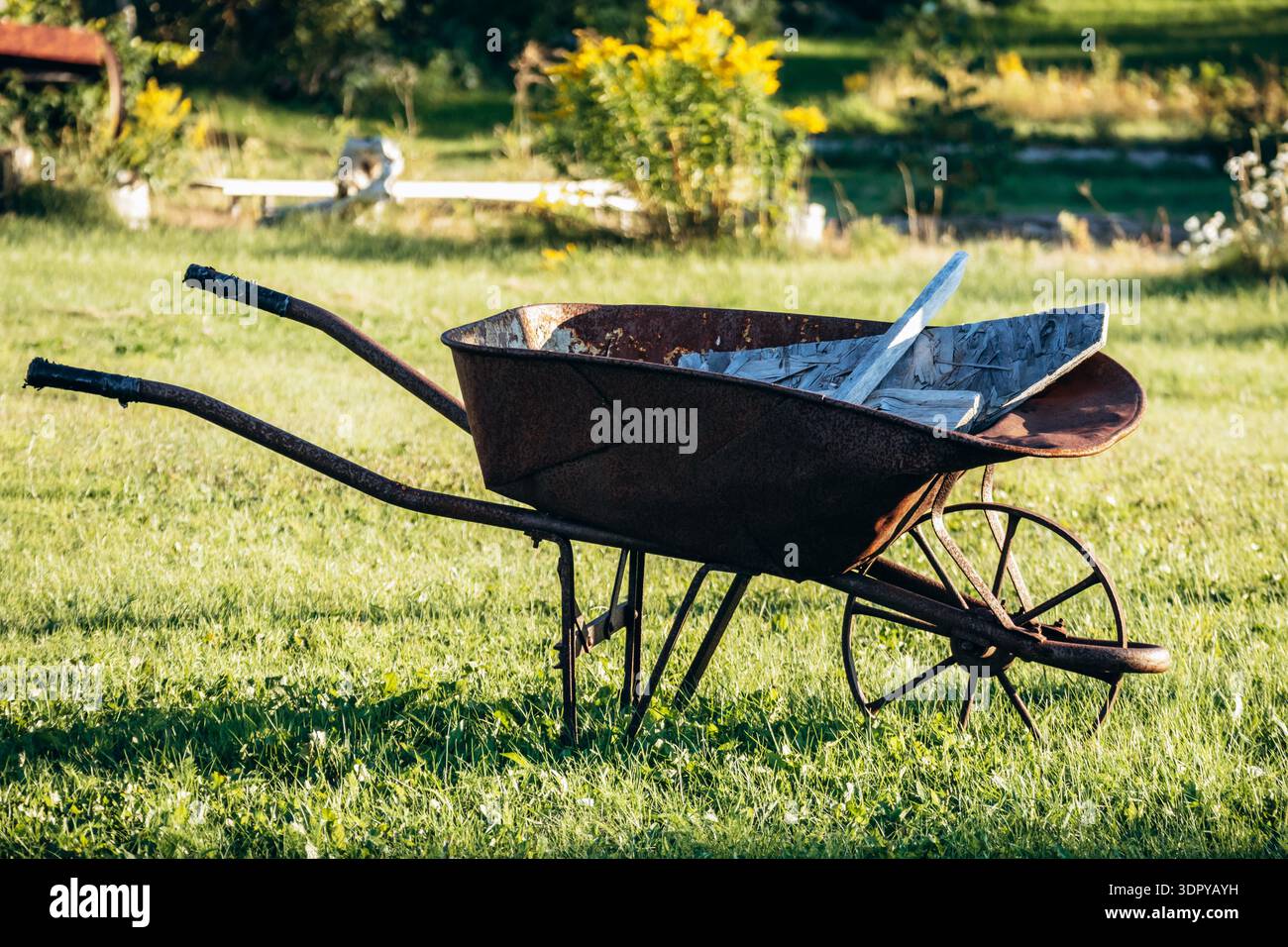 Rostige Vintage-Metallkarre auf grünem Gras in einem ländlichen Garten unter der warmen Sommersonne, Baie-Sainte-Catherine, Kanada Stockfoto