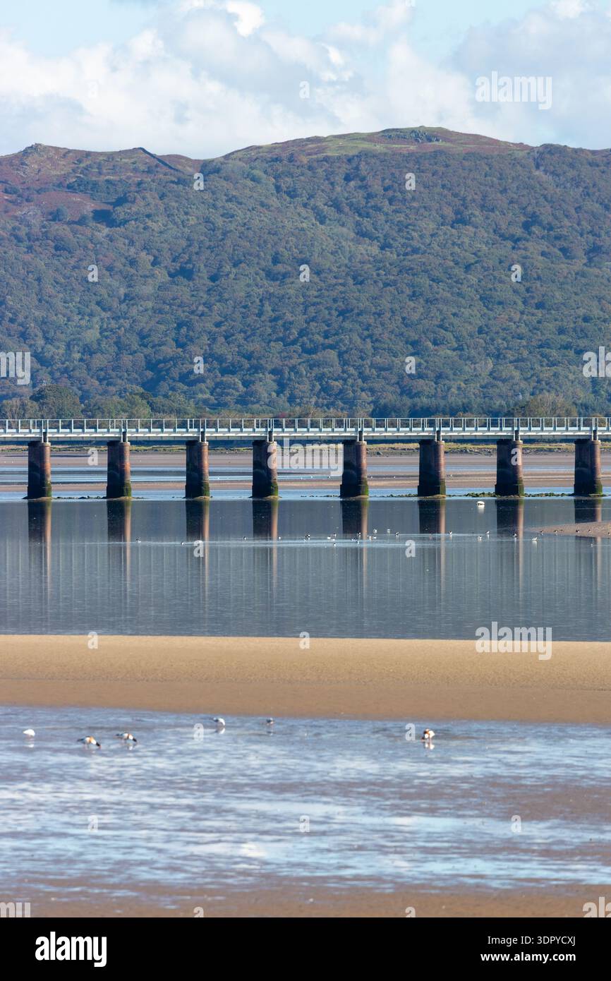 Das Leven Viaduct ist eine Eisenbahnbrücke, die die Furness Line über den Fluss Leven in Cumbria führt Stockfoto