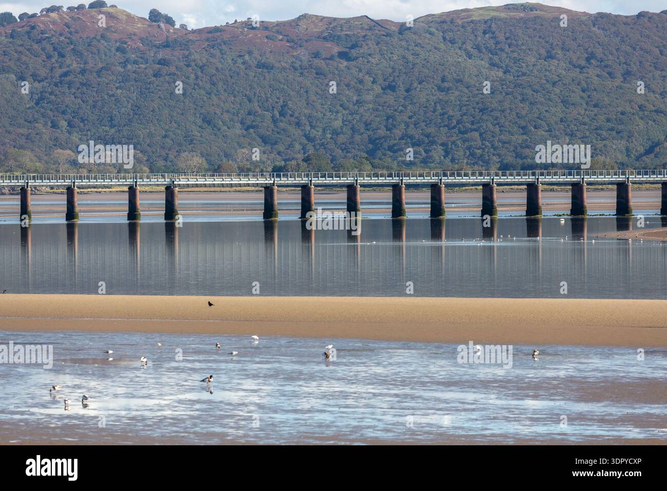 Das Leven Viaduct ist eine Eisenbahnbrücke, die die Furness Line über den Fluss Leven in Cumbria führt Stockfoto
