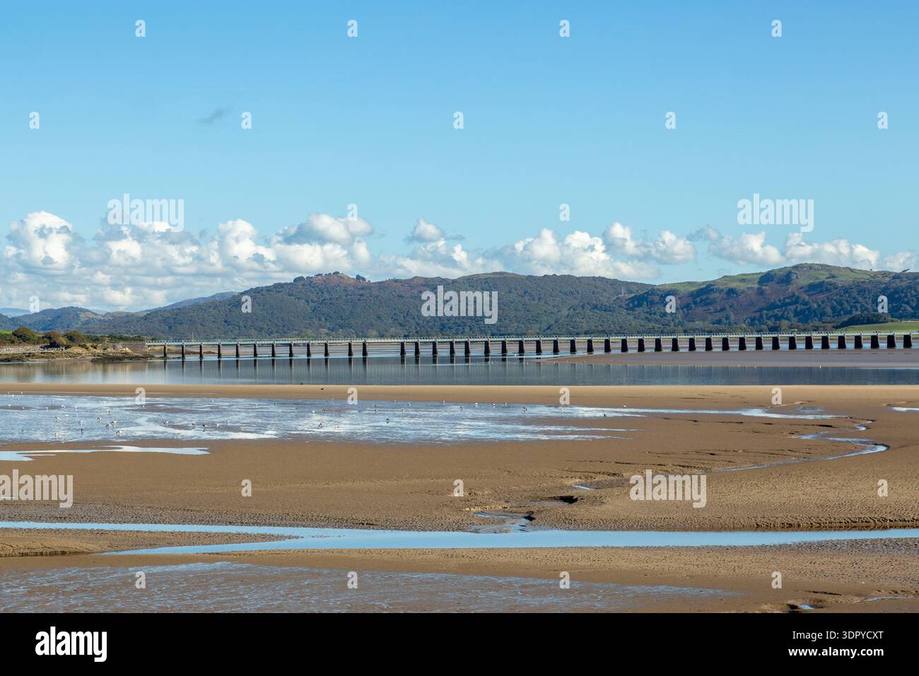 Das Leven Viaduct ist eine Eisenbahnbrücke, die die Furness Line über den Fluss Leven in Cumbria führt Stockfoto