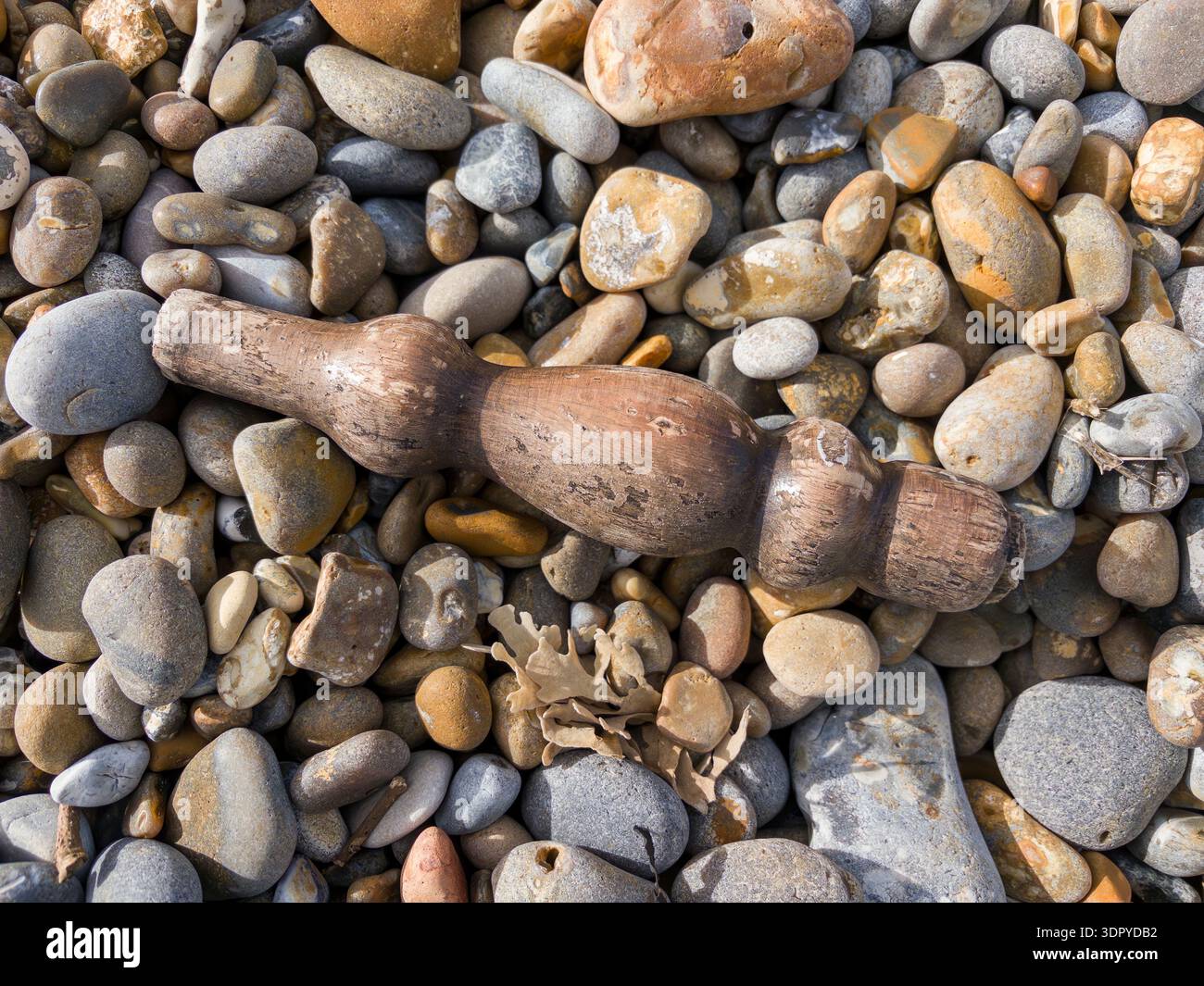 Ein Fragment des Drehstuhlbeins wurde an einem Kieselstrand gespült Stockfoto