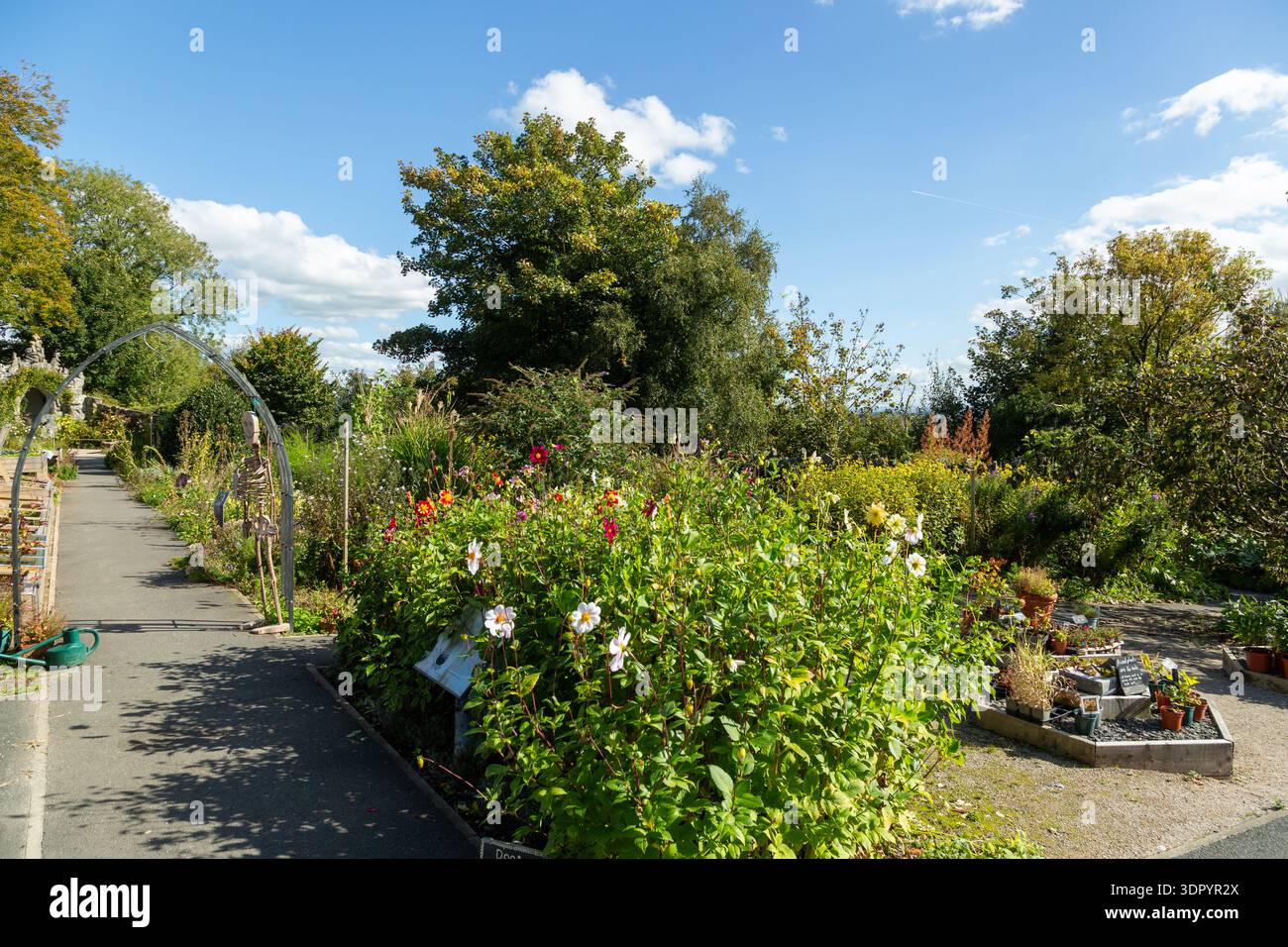 Ford Park Plant Baumschule Ulverston, Cumbria, England Stockfoto