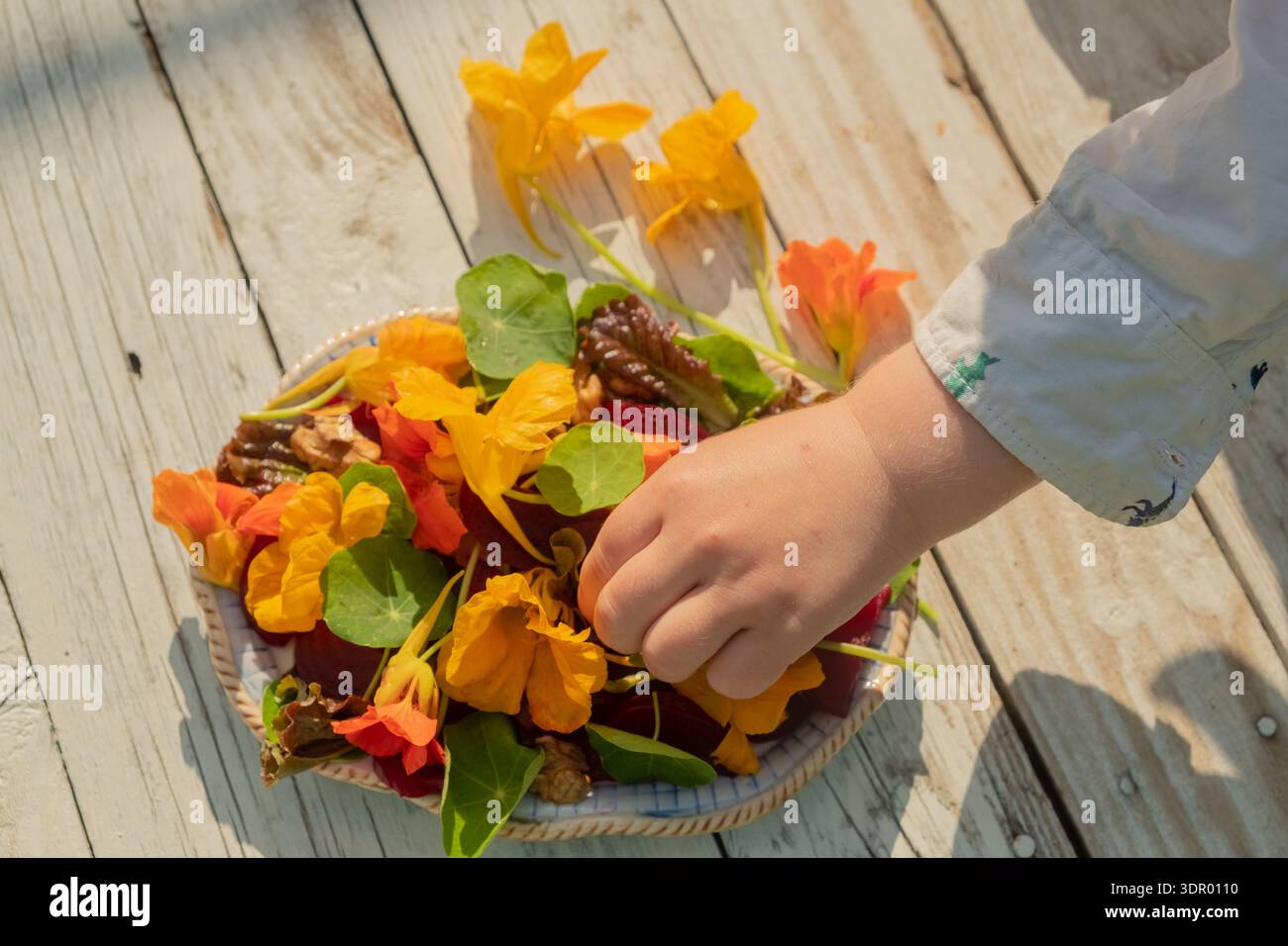 Salat aus gekochten Rüben, Kapuzinerkresse und Walnüssen. Schönes vegetarisches Gericht. Unschärfe und selektiver Fokus. Die Kinderhand nimmt eine Nuss aus dem fertigen Gericht. Stockfoto