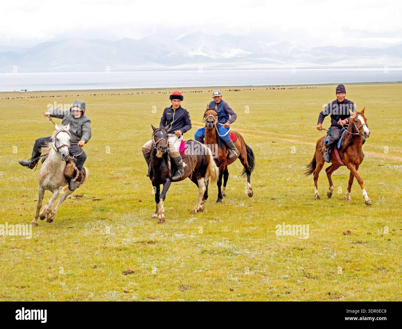 Ein Spiel der kirgisischen Sportart kok boru oder buzkashi am Ufer des Son Kul Sees Stockfoto
