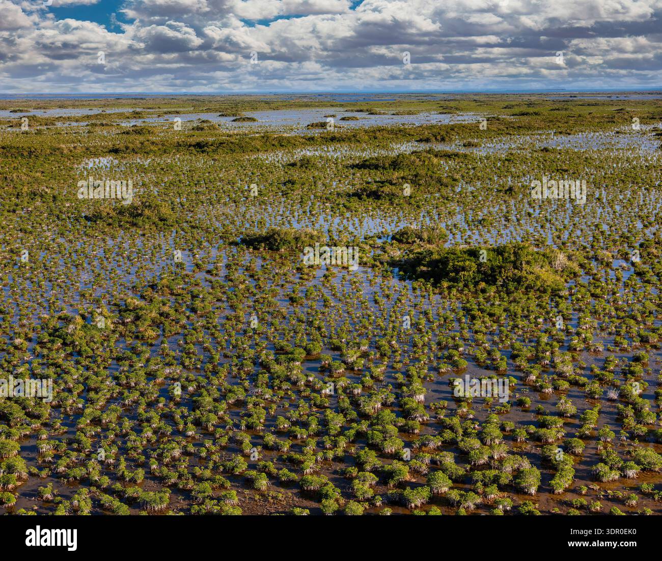 Der Everglades-Nationalpark schützt die größte subtropische Wildnis der Vereinigten Staaten mit über 1,5 Millionen Hektar Feuchtgebieten Stockfoto