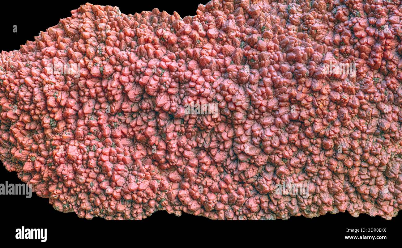 Rhodochrosit-Aggregate aus Japan bilden sich gewöhnlich als dicht gepackte Kristallcluster, die offene Räume in manganhaltigen hydrothermalen Venen auskleiden. Stockfoto