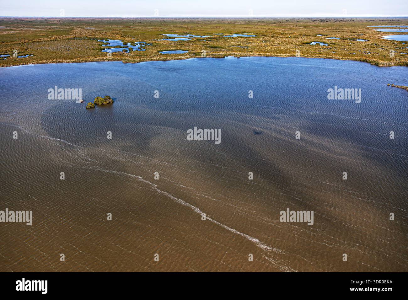 Diese Luftaufnahme erfasst die Strömung der Blätter, die sich über einen flachen Everglades-Sumpf bewegt, den dominanten hydrologischen Prozess, der die Everglades als langsame Stockfoto