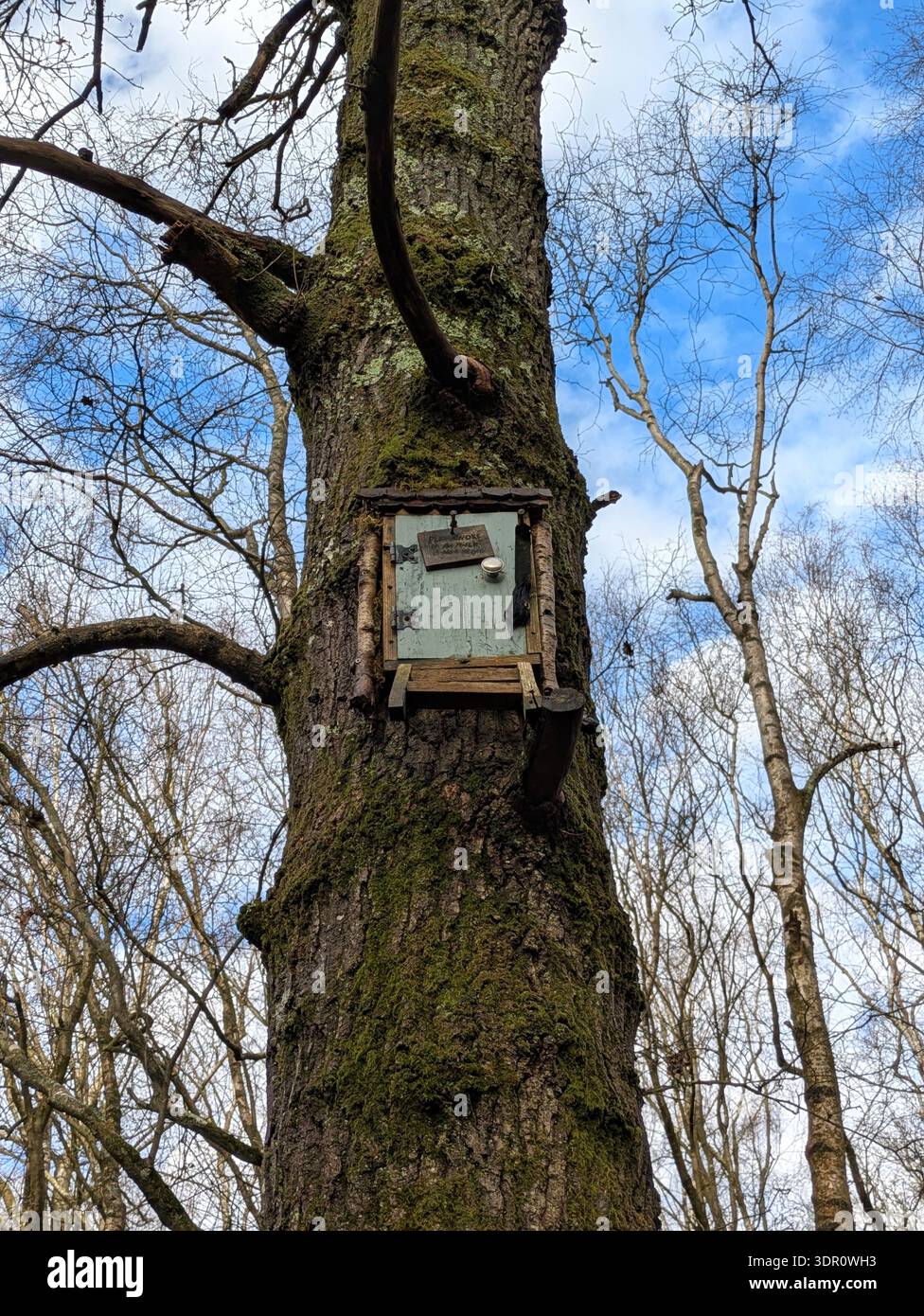Eulen-Haus in den Bäumen im Ashdown Forest, East Sussex, auch bekannt als der echte Hundert Hektar Wald von A. A. Milne's Winnie-the-Pooh - Smartphone-aufgenommenes Stockfoto