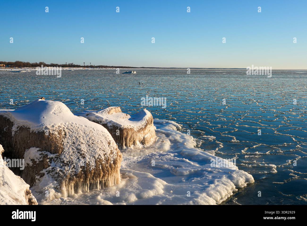 Winterszene der Ostsee in Liepaja, Lettland, mit gefrorener Küste, vereisten Felsen, schneebedeckter Küste und gemustertem Meereis unter klarem blauem SK Stockfoto