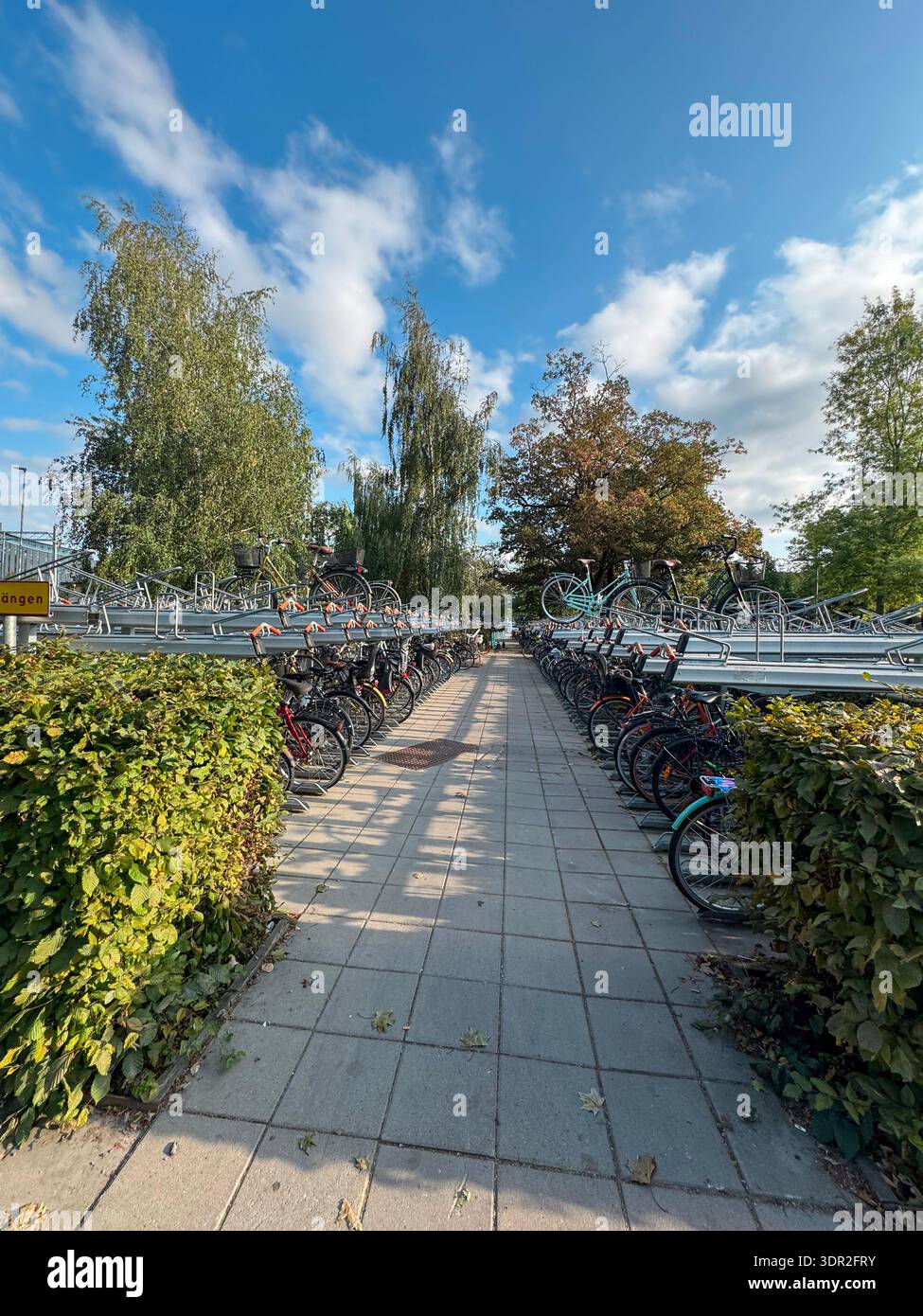 Weg zwischen zweistufigen Fahrradständern in Uppsala, Schweden. Ein städtisches Verkehrsmittel, modernes Fahrradparkkonzept. Stockfoto