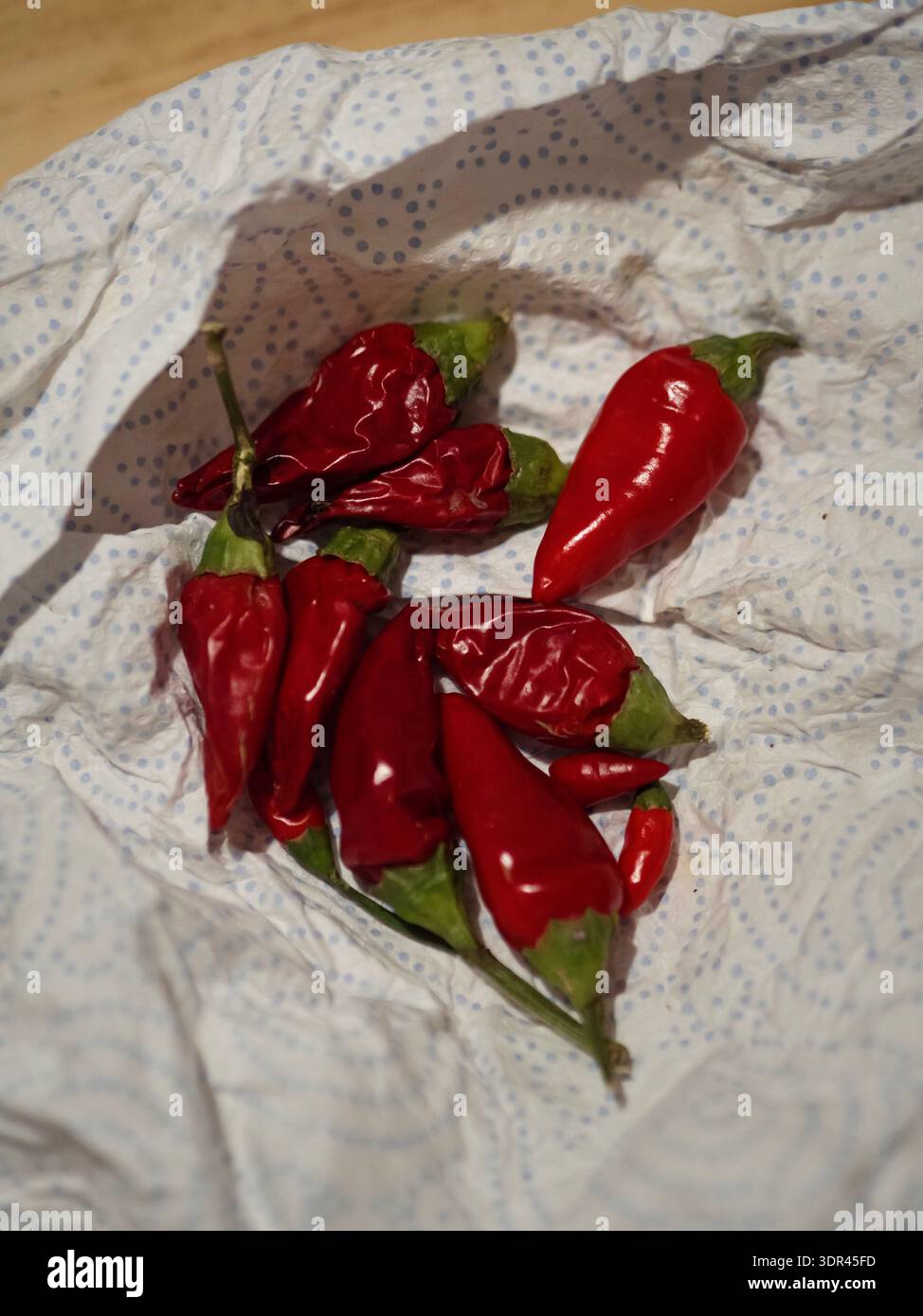 Rote Chili-Paprika in Serviette aus weißem Papier – vertikale Nahaufnahme, nachhaltiges Wohnen Stockfoto