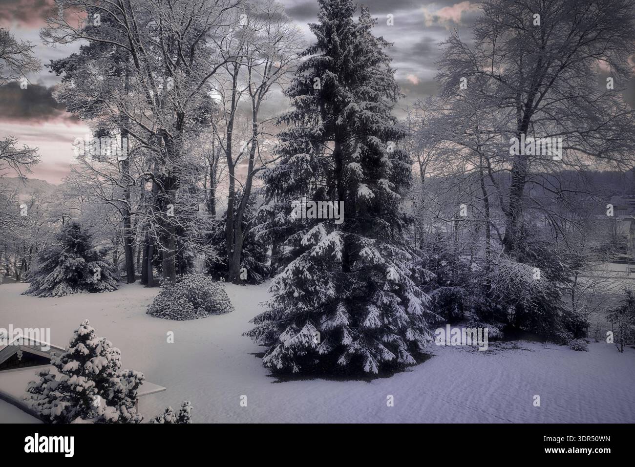 DE - BAYERN: Winterzeit im Isartal bei Bad Tölz, Oberbayern fotografiert von Edmund Nagele F.R.P.S. Stockfoto