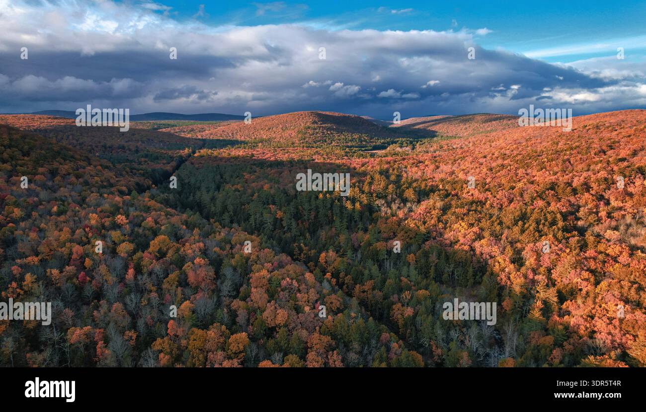 Drohnenblick auf das Herbstlaub in den Catskill Mountains unter dramatischen Sturmwolken in New York, Appalachen-Region. Stockfoto