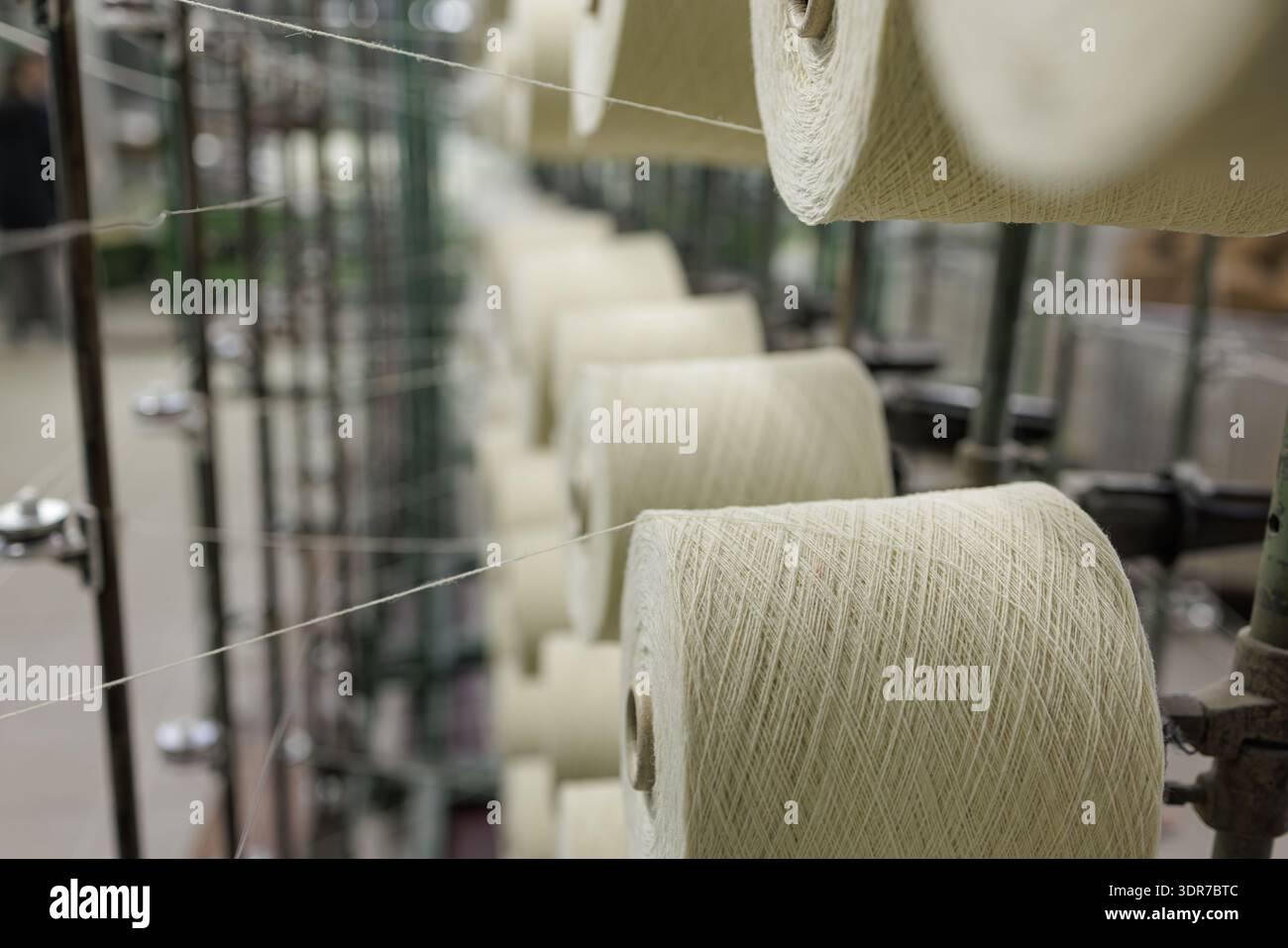 Ausgerichtete Garnspulen liefern Garne für ein automatisiertes Websystem, ideal für die Textilherstellung, die Lieferkette und das industrielle Produktionsmarketing. Stockfoto