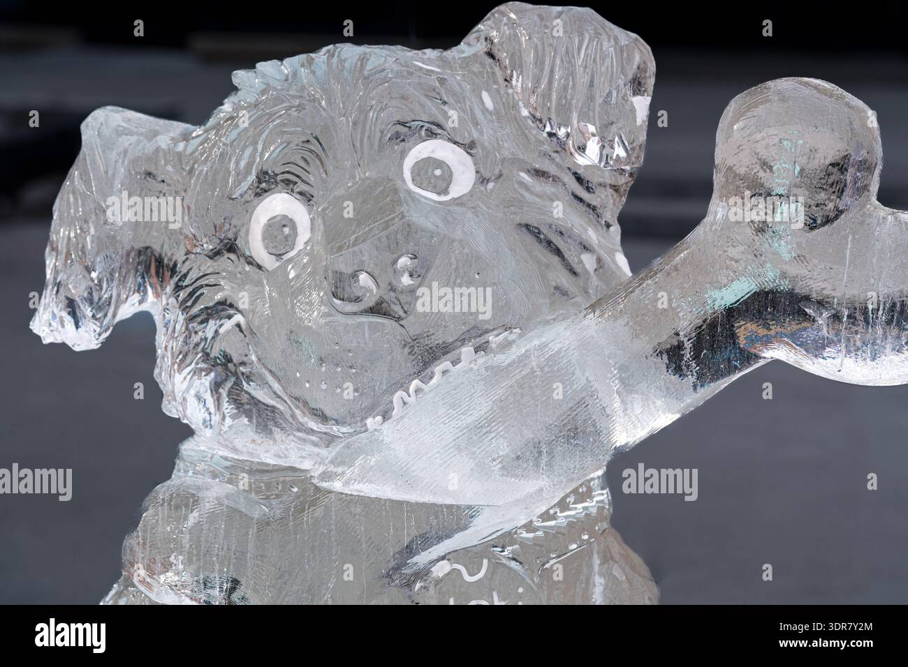 Eisskulptur eines glücklichen Hundes mit Knochen im Mund Stockfoto