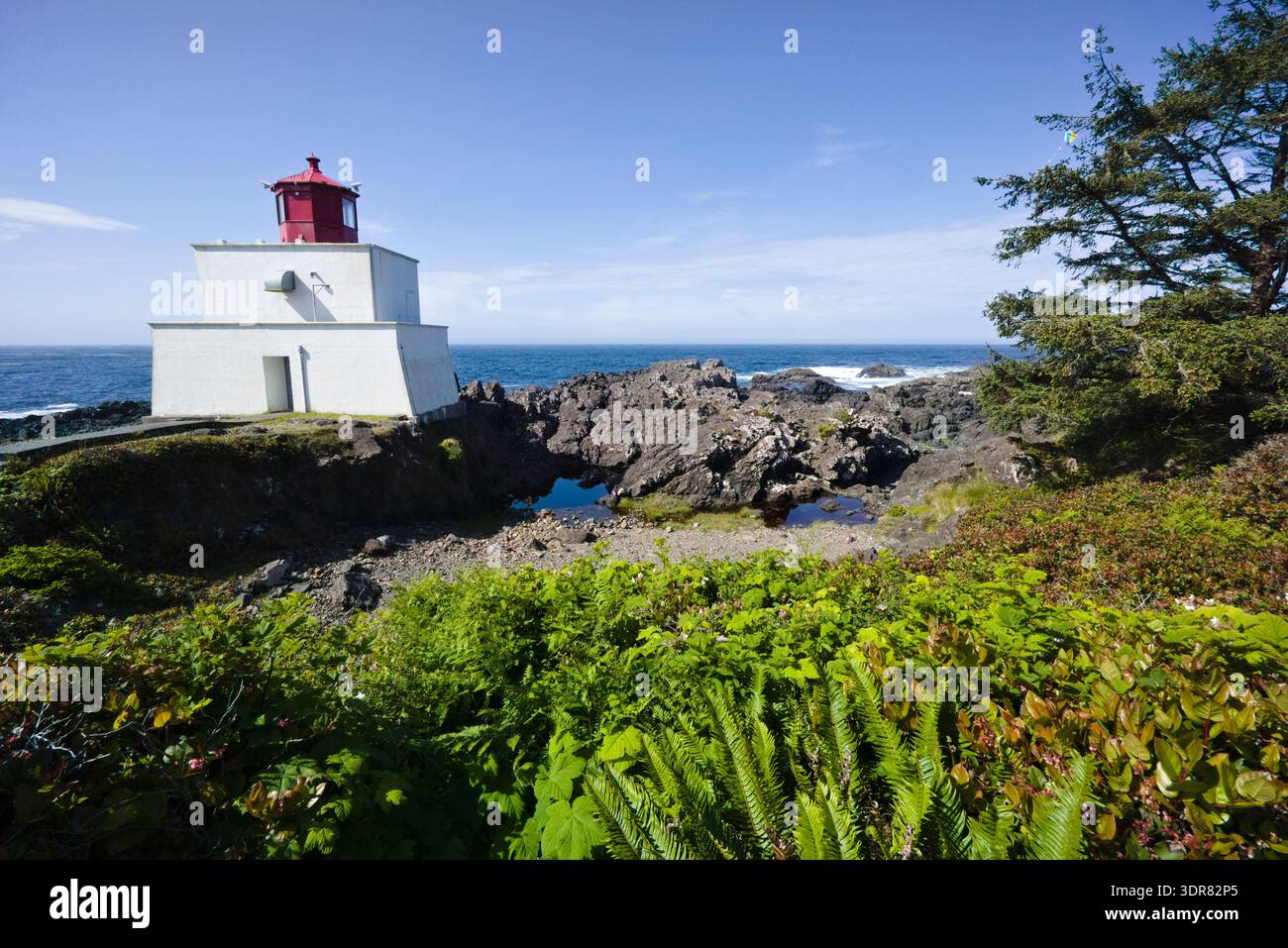 Der Leuchtturm von Amphitrite Point steht an der rauen felsigen Küste in Ucluelet, Vancouver Island, British Columbia, umgeben von üppiger Küstenvegetation. Stockfoto