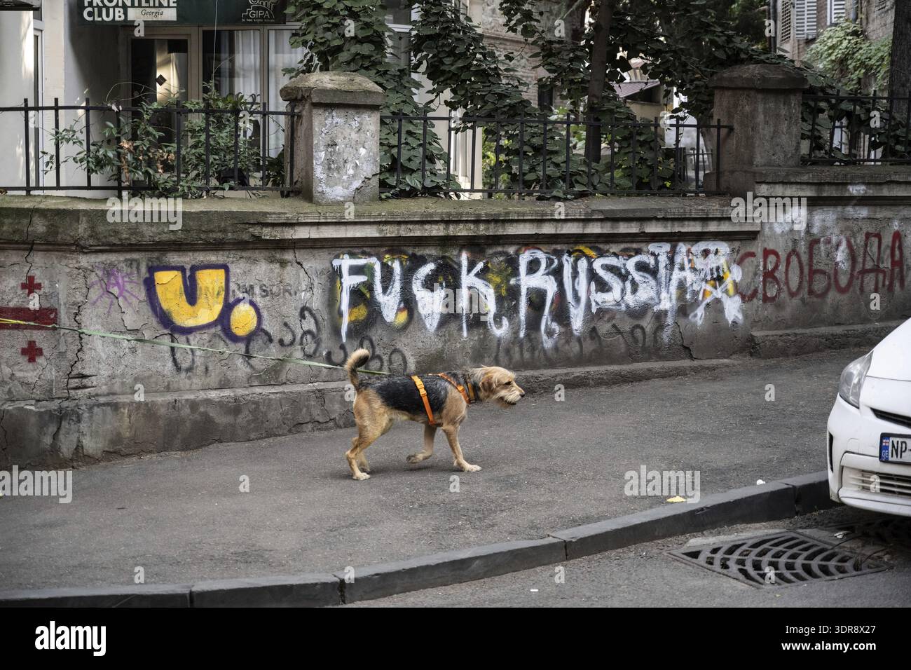 Tiflis, Georgien. August 2025. Antirussische Graffiti sind auf eine Wand in der georgischen Hauptstadt Tiflis, Georgien, gesprüht Stockfoto