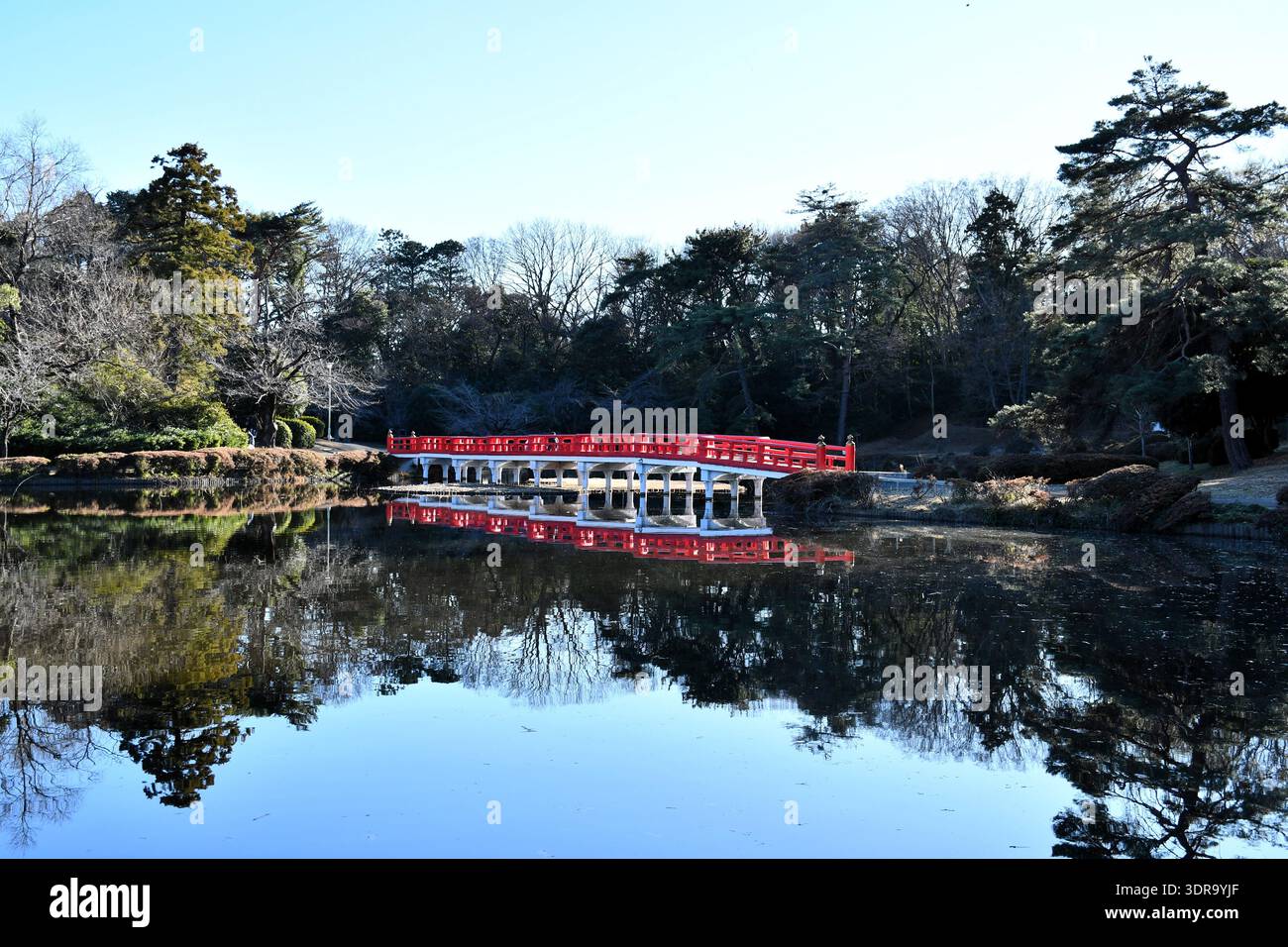 Rote Brücke über den Teich im Park. Stockfoto