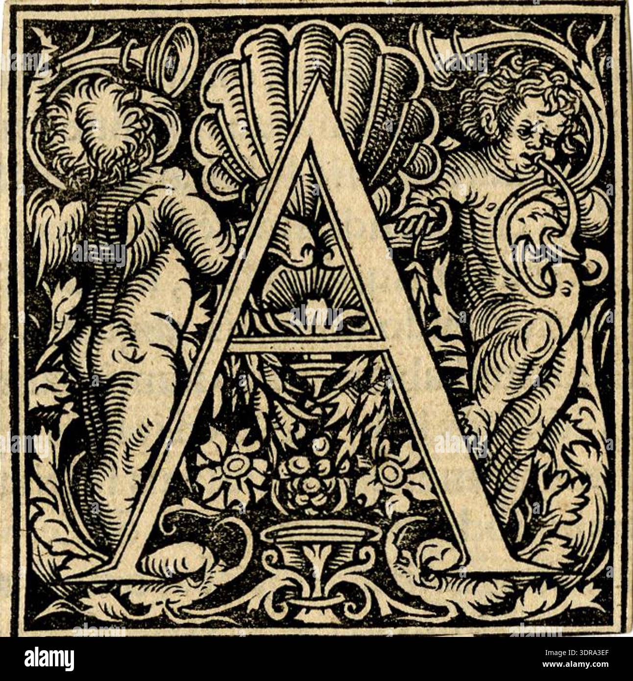 Eine Serie von Holzschnitt-Anfangsbuchstaben, die um 1527 von Anton Woensam produziert wurden und früher Albrecht Dürer zugeschrieben wurden. Die Buchstaben A, C, H, I, M, n, P, Q, S und T sind mit Putten verziert, die auf schwarzem Boden stehen. Als Buchillustrationen entstanden, vermutlich für einen Kölner Drucker nach 1527, verbinden die Entwürfe Alphabetformen mit Renaissance-Ornamenten und figürlichen Motiven in kühlem linearen Stil. Stockfoto