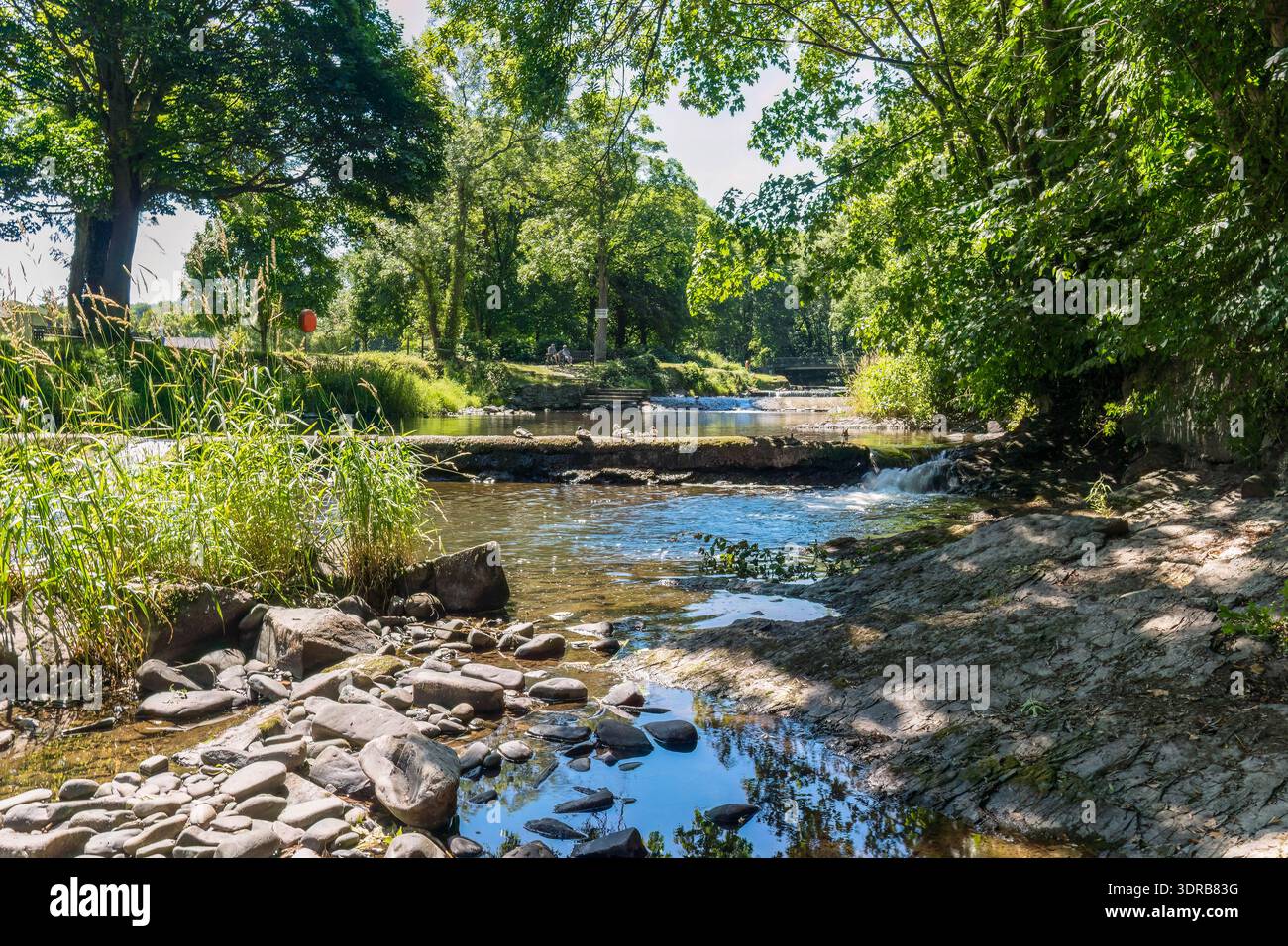 Der Fluss Aeron schlängelt sich durch Aberaeron und führt in die Cardigan Bay (Bae Ceredigion) Dyfed Wales UK. Juli 2025. Stockfoto