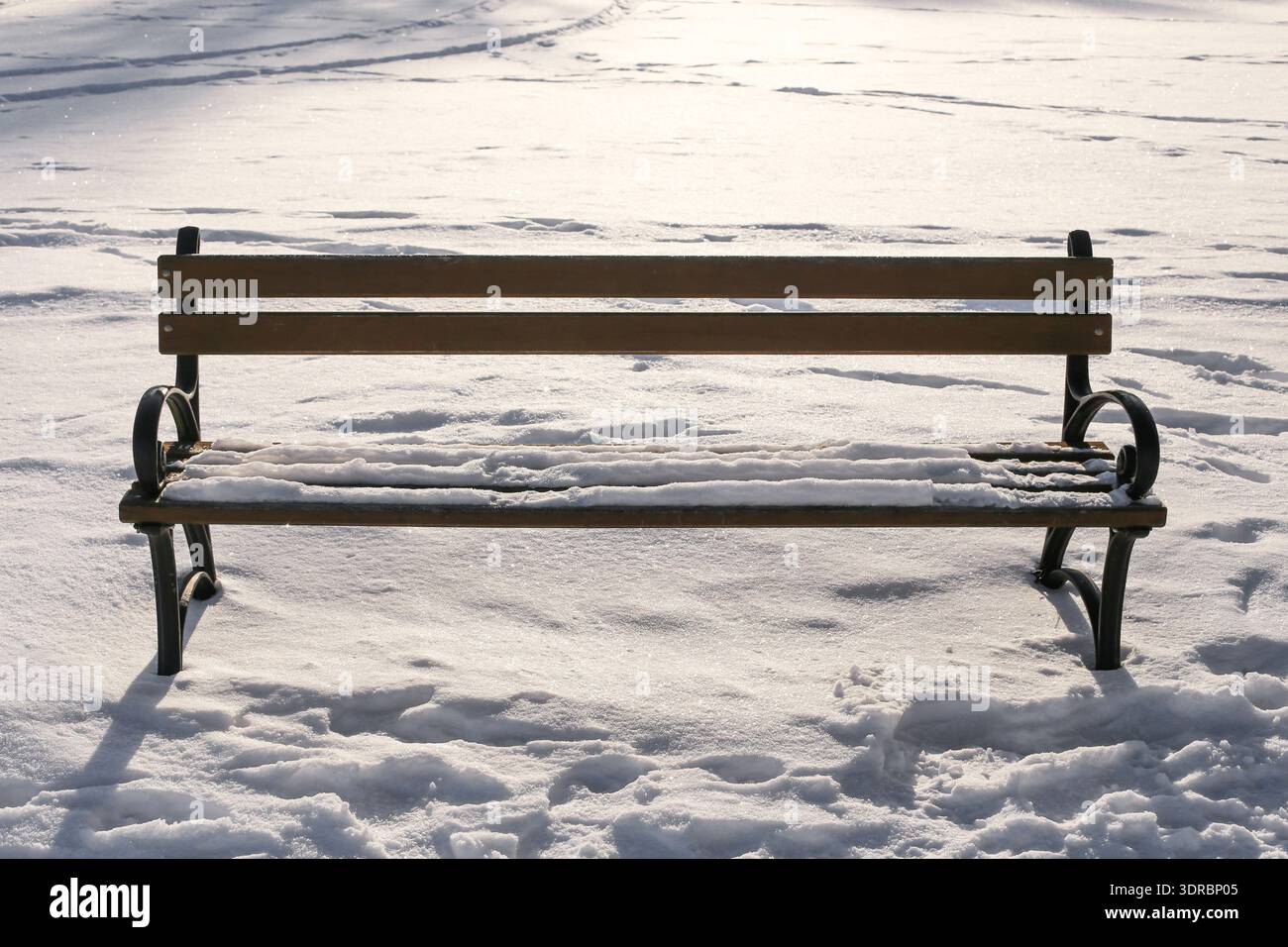 Leere Parkbank, die im Winter mit Schnee bedeckt ist. Kalte Außenlandschaft und ruhiger, schneebedeckter Erholungsbereich bei Tageslicht. Stockfoto