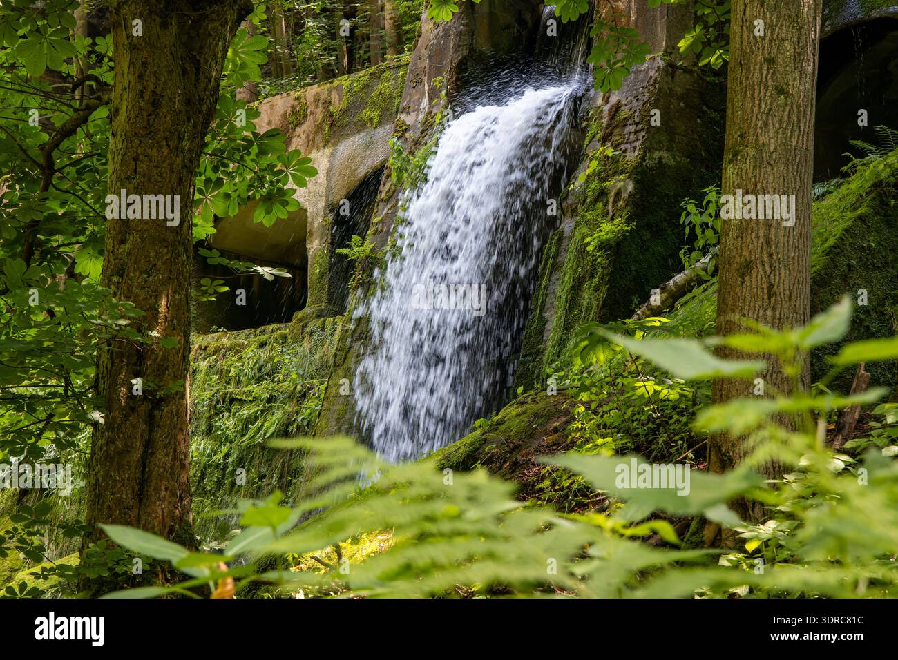 Altes Wasserkraftwerk Niezelgrund Wasserfall Lohmenschlucht Stockfoto