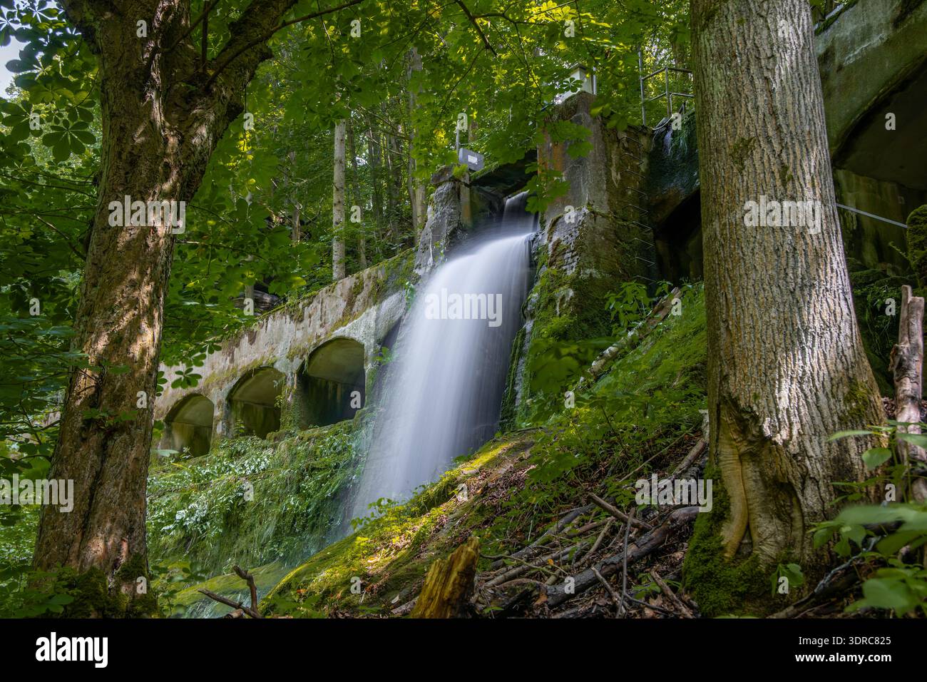 Altes Wasserkraftwerk Niezelgrund Wasserfall Lohmenschlucht Stockfoto