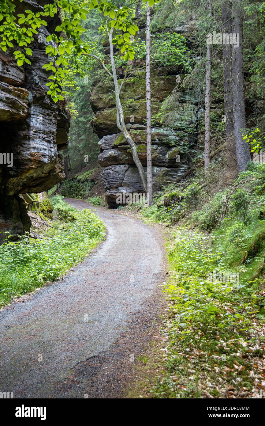 Wanderweg zur Bastei Stockfoto