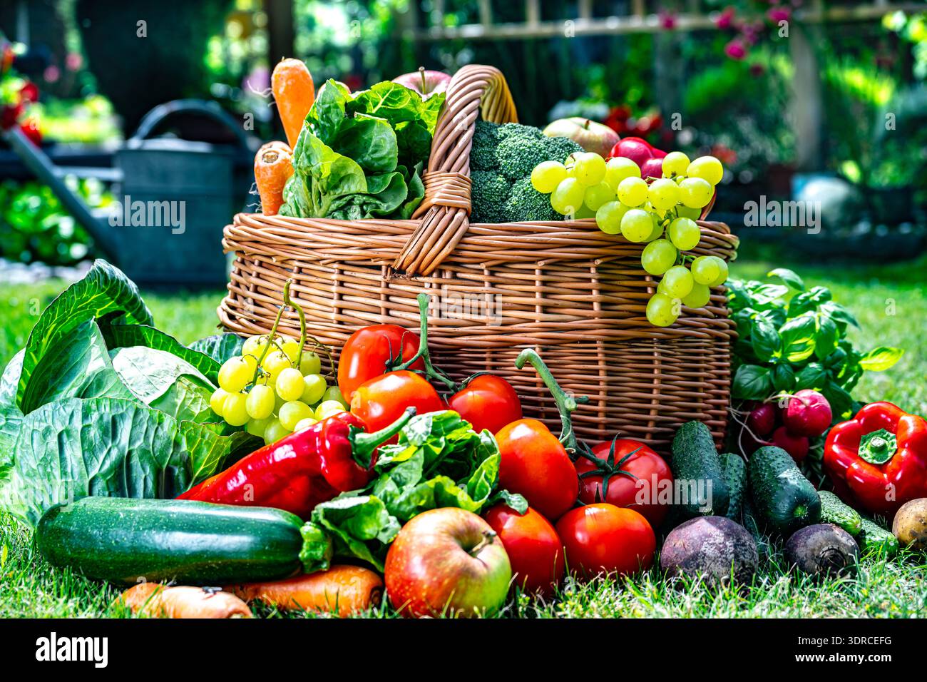 Korb mit Gemüse und Obst im Garten Stockfoto