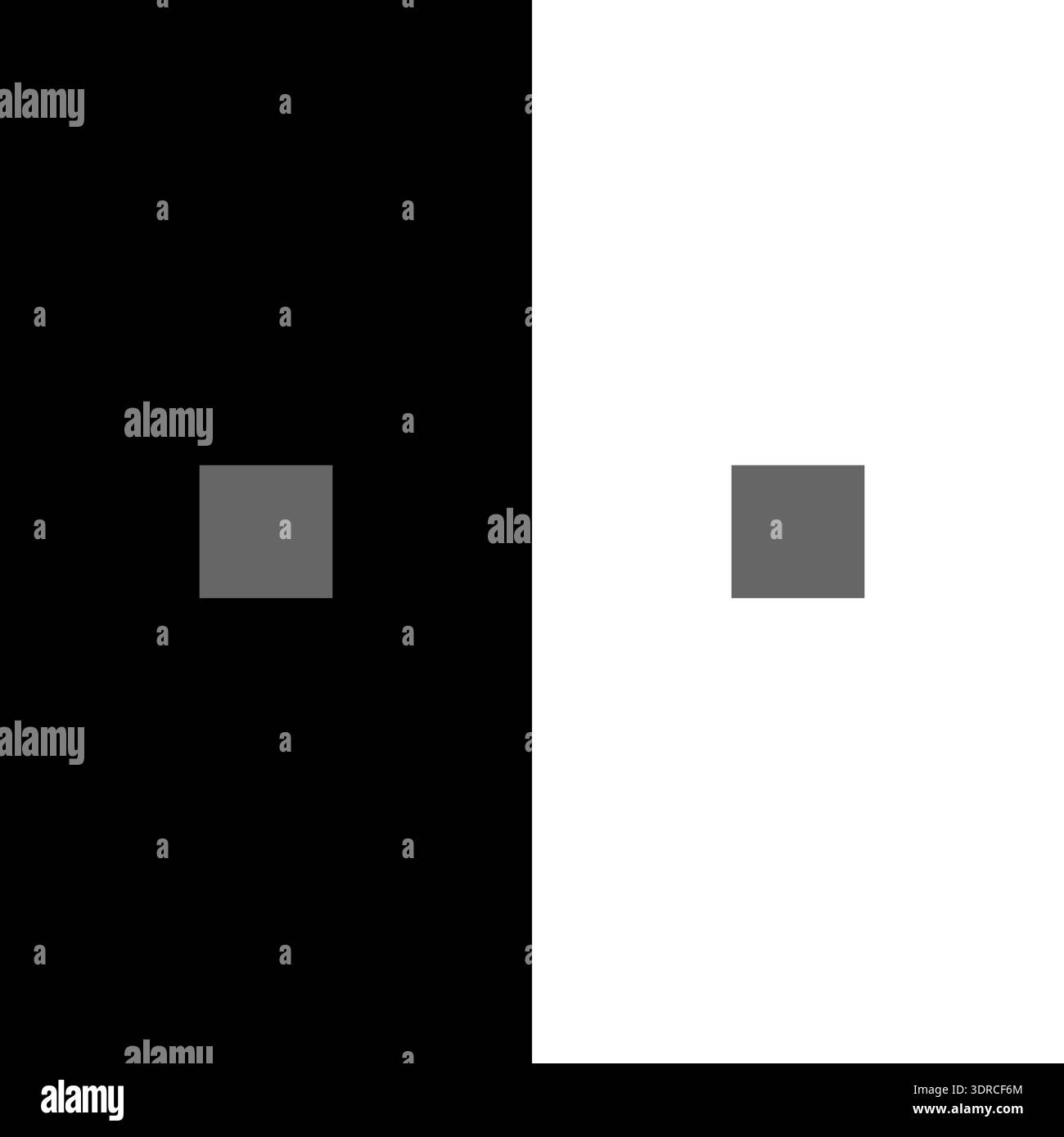 Kontrastquadrate. Vektorgrafik optische Illusion. Die beiden kleinen Quadrate scheinen einen anderen Grauton zu haben, aber sie sind genau gleich. Stock Vektor