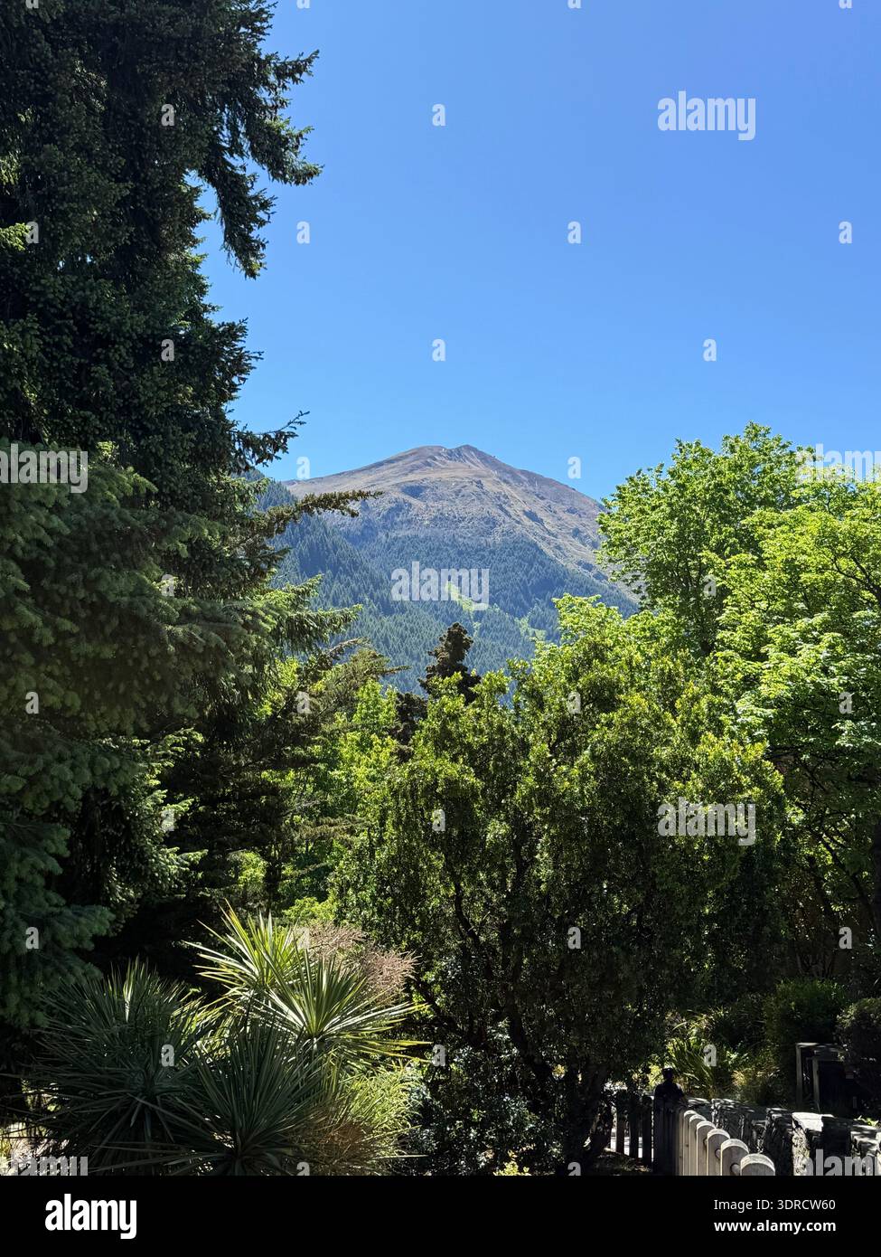 Berg im Dschungel - Smartphone-aufgenommenes Stockfoto