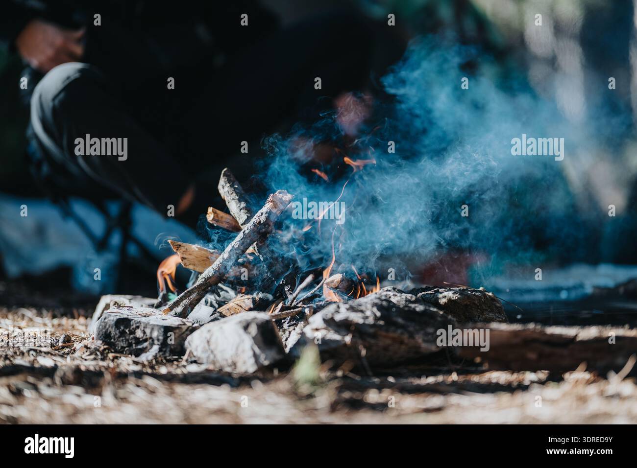 Gemütliches Lagerfeuer im Wald mit Rauch und glühender Glut in der Abenddämmerung Stockfoto
