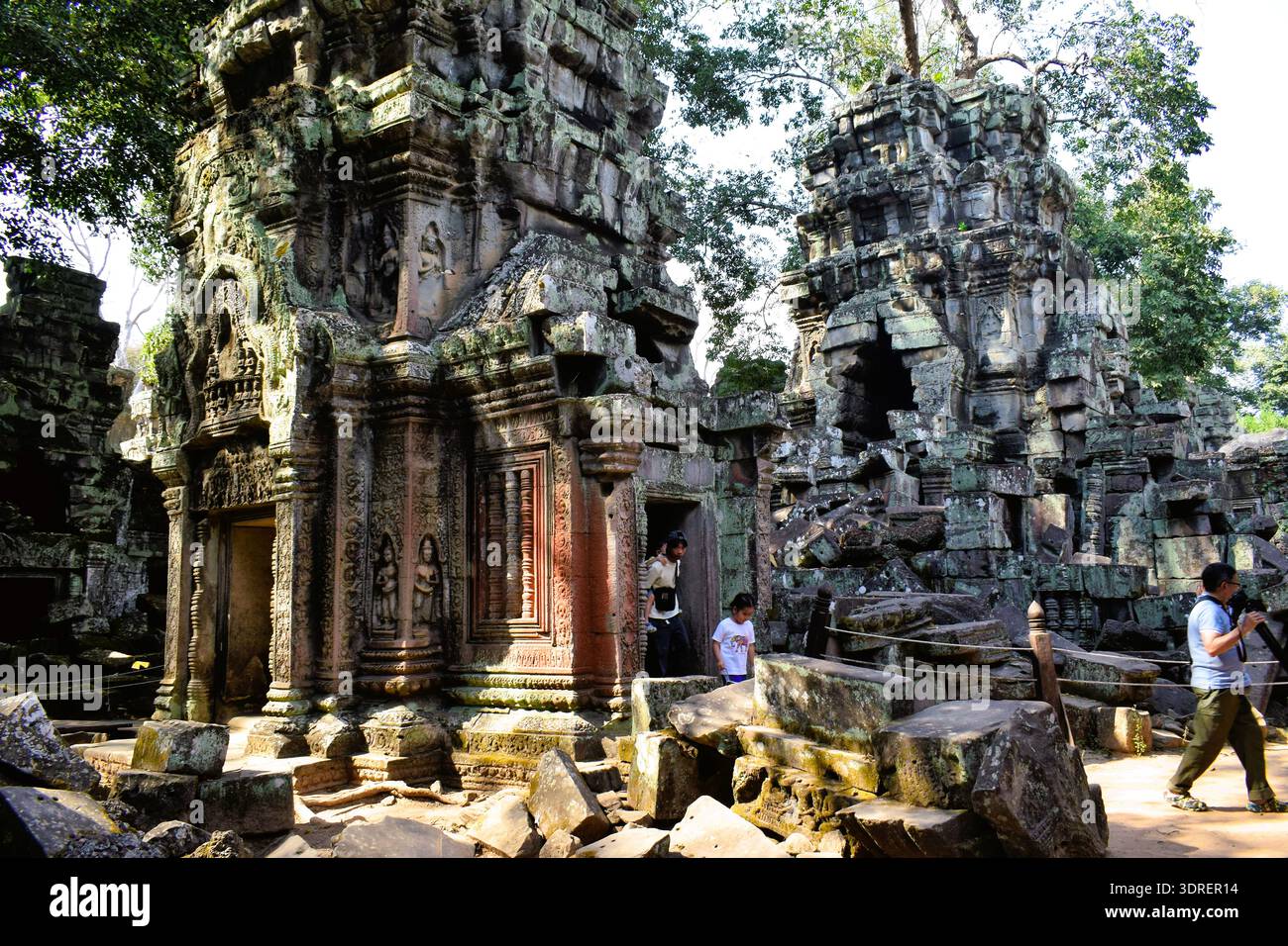 Ta Prohm Tempel Stockfoto