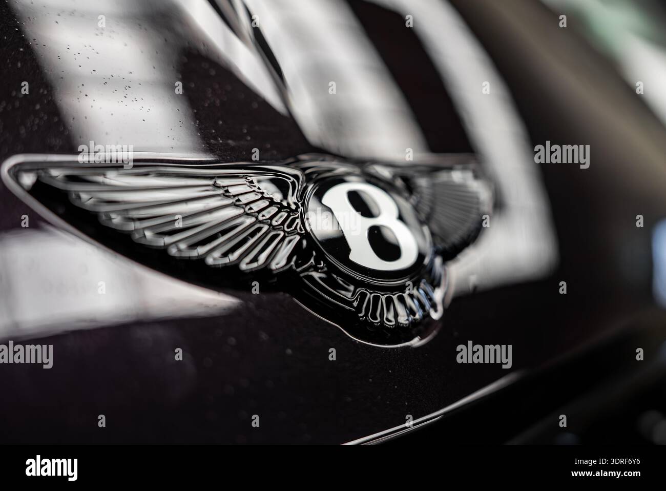 Bentley geflügeltes B-Emblem auf schwarzer Kapuze mit Wassertropfen im Innenbereich Stockfoto