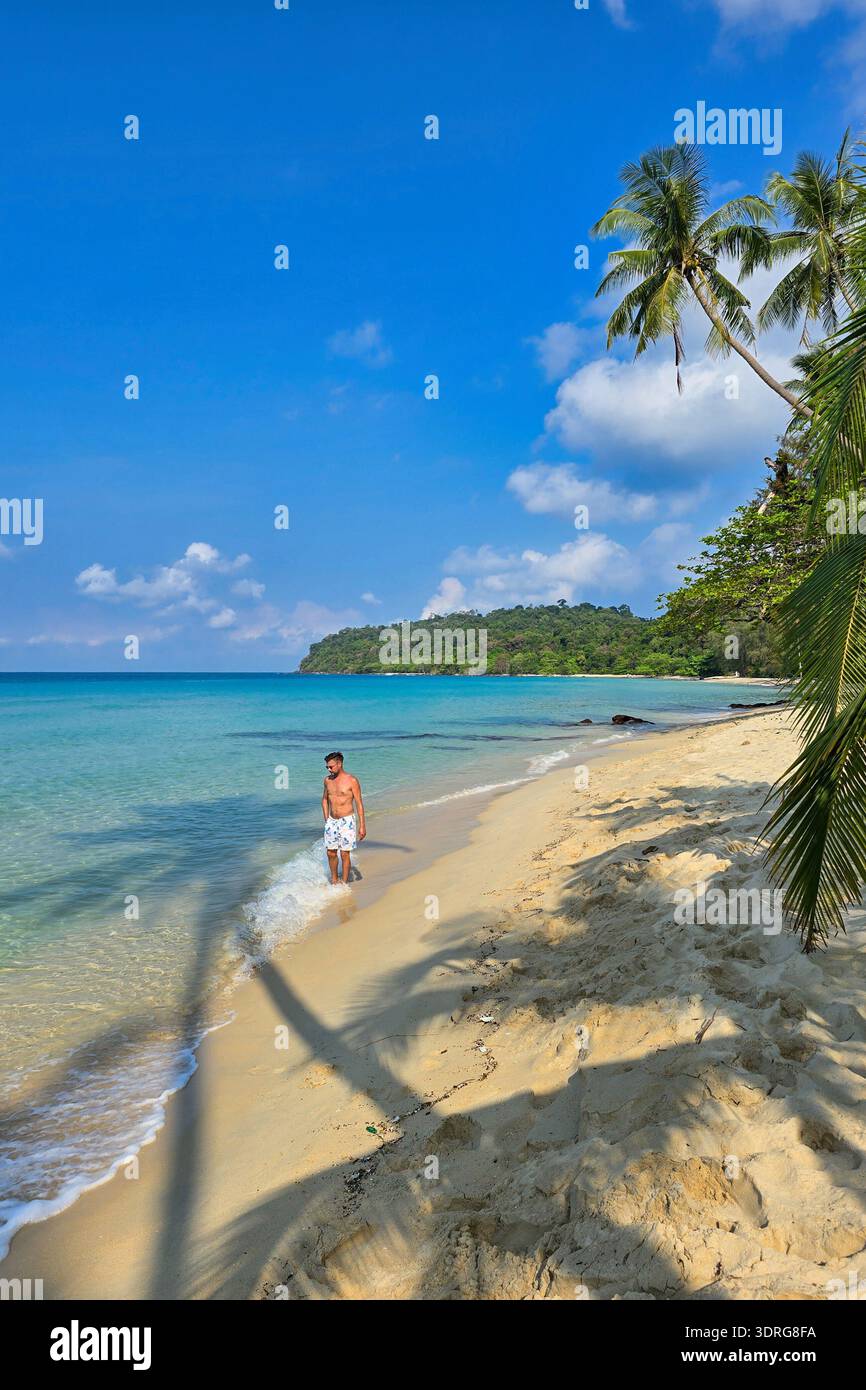 Ein Alleinreisender spaziert entlang eines ruhigen Sandstrandes, während ihm sanfte Wellen zu Füßen liegen. Üppige Palmen wiegen in der sanften Brise und schaffen ein friedliches atmos Stockfoto